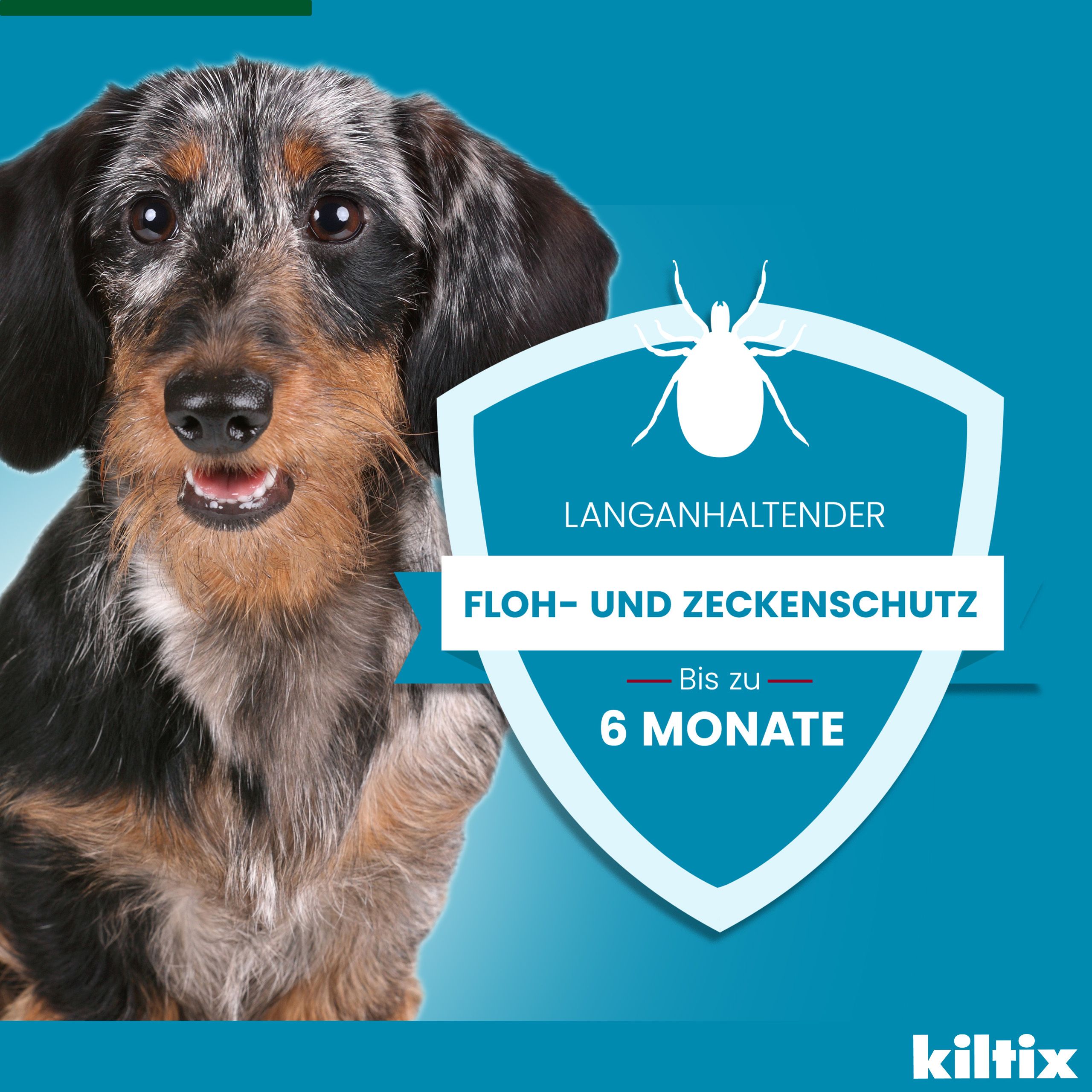 Blauer Hintergrund mit Hund und Schild. Text: Lang anhaltender Floh- und Zeckenschutz. Bis zu 6 Monate.