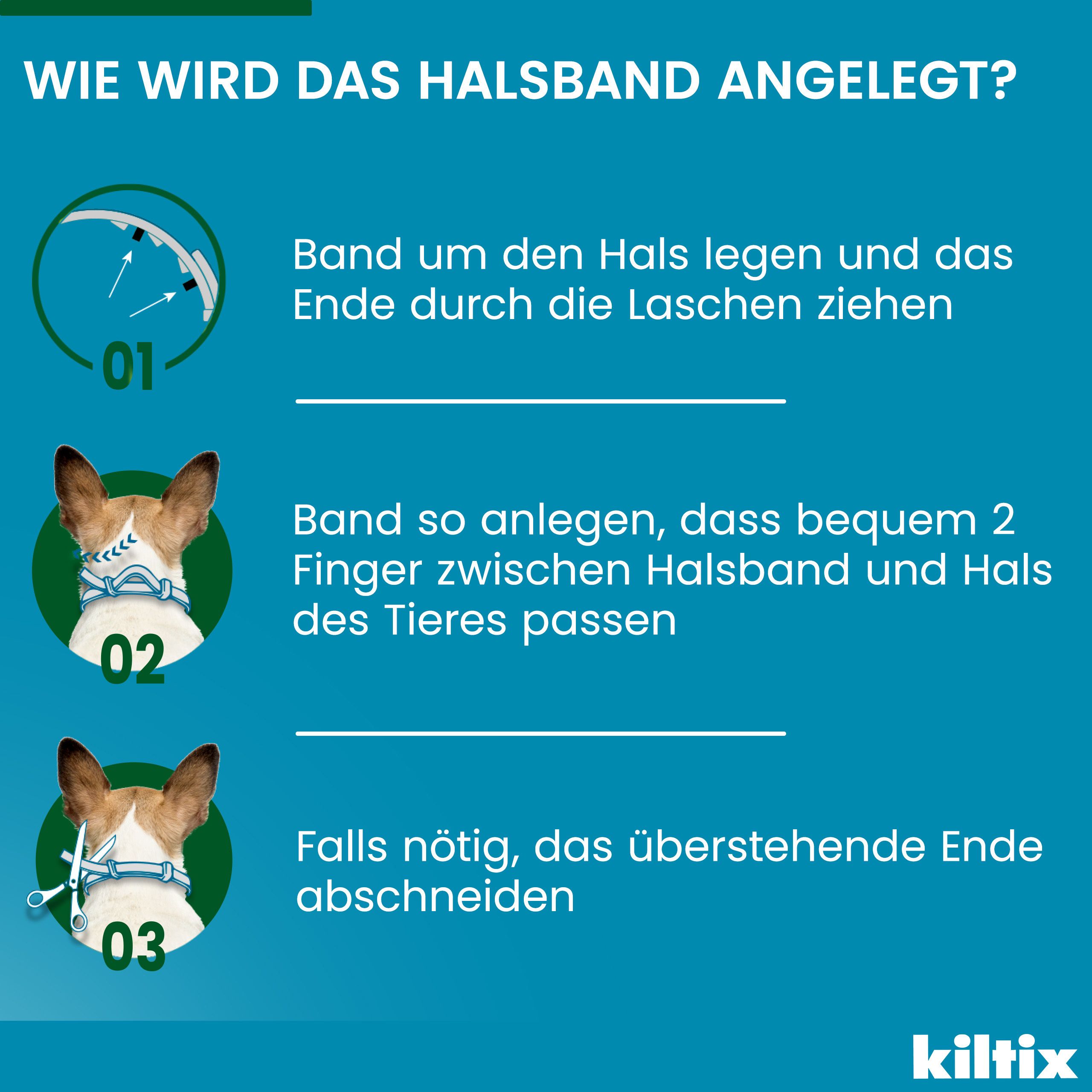 Anleitung zur Anwendung des Halsbands. 3 Schritte mit Illustrationen und Text.