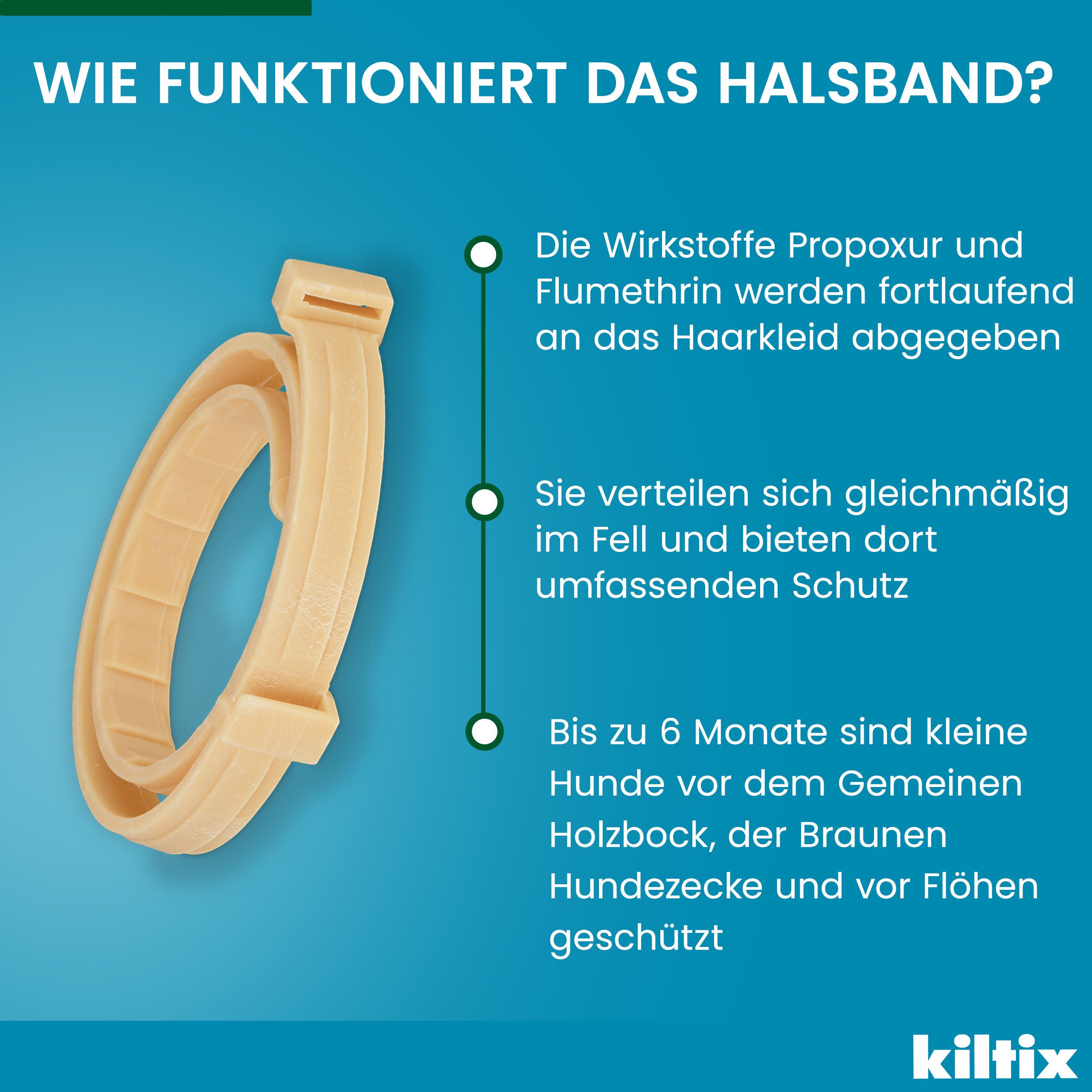 Wie das Halsband funktioniert. Illustration des Halsbands mit Text. Wirkstoffe werden abgegeben. Schutz bis zu 6 Monate.