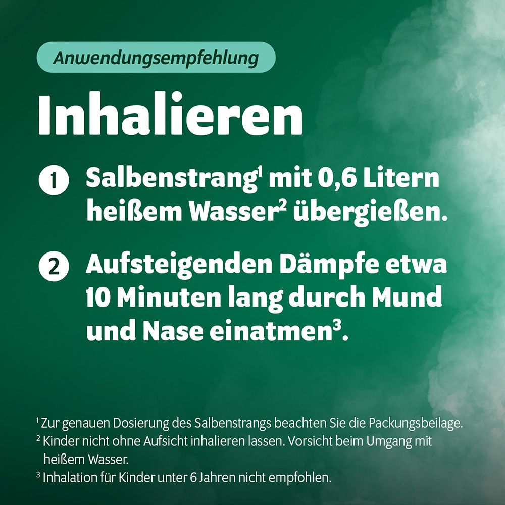 Bronchoforton® Salbe – Erkältungssalbe mit rein pflanzlichen Wirkstoffen. Löst zähen Schleim, erleichtert das Abhusten; mit Eukalyptus-, Fichtennadel- und Pfefferminzöl