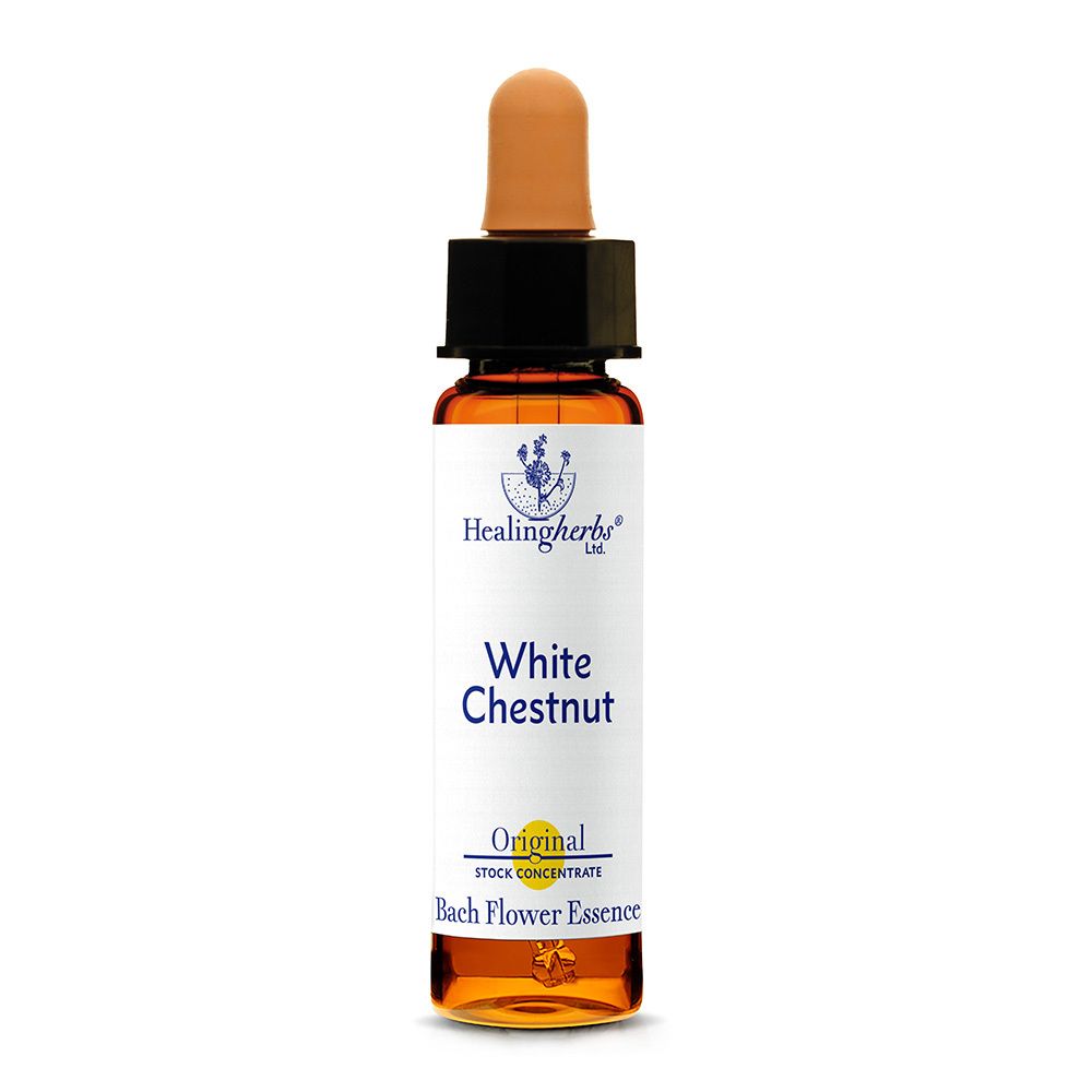 Bachblüten White Chestnut Healing Herbs Tropfen 10 ml