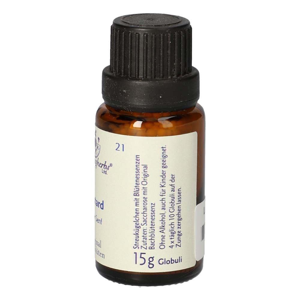 Braune Glasflasche mit schwarzem Deckel. Etikett mit Produktinformationen und "15g Globuli". Enthält Streukügelchen. Marke: Healing Herbs®.