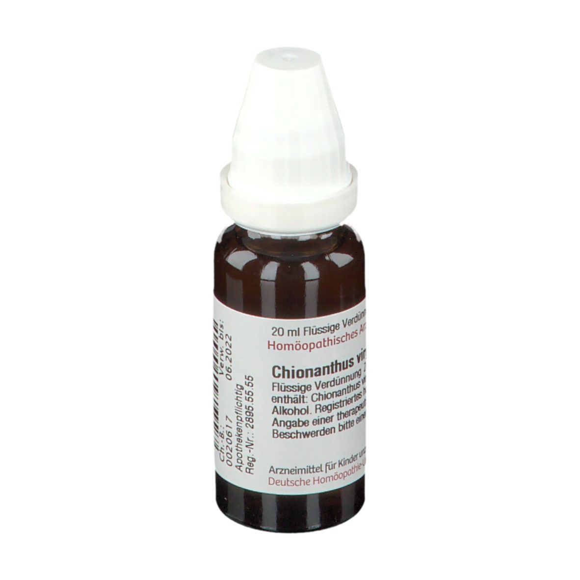 DHU Chionanthus Virginicus C2