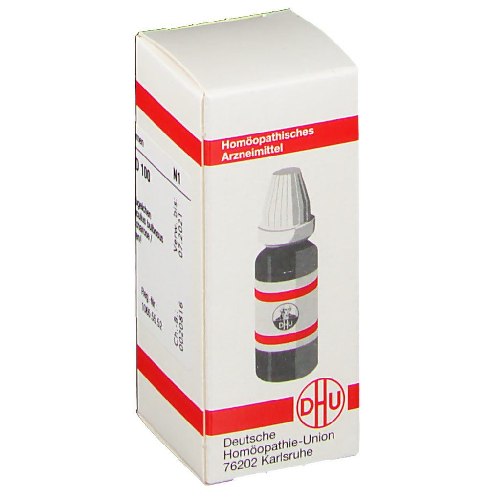 DHU Ranunculus Bulbosus D100