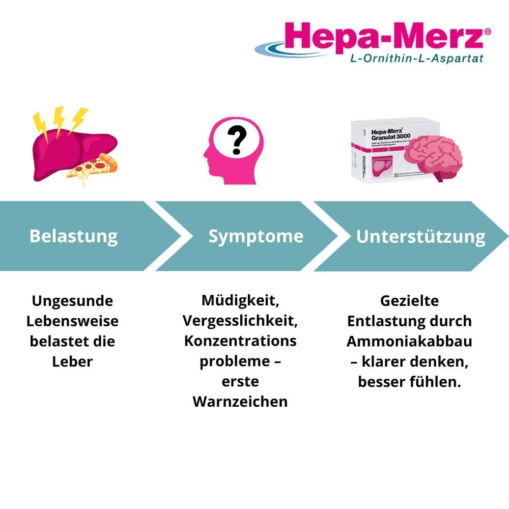 Infografik: Leber, Fragezeichen, Gehirn. Belastung, Symptome, Unterstützung. Text: Müdigkeit, Konzentration.