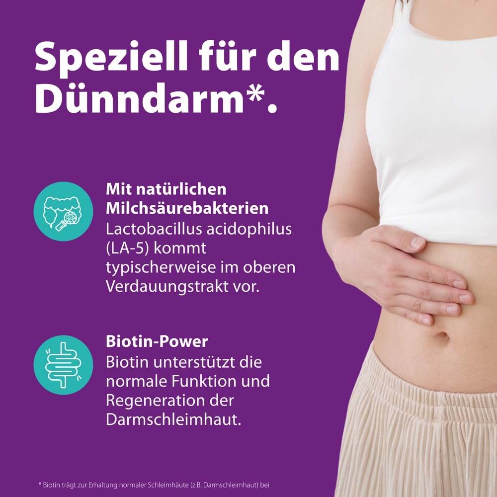 Frau berührt Bauch. Text: Speziell für den Dünndarm*. Text über Milchsäurebakterien und Biotin-Power. Lila Hintergrund.