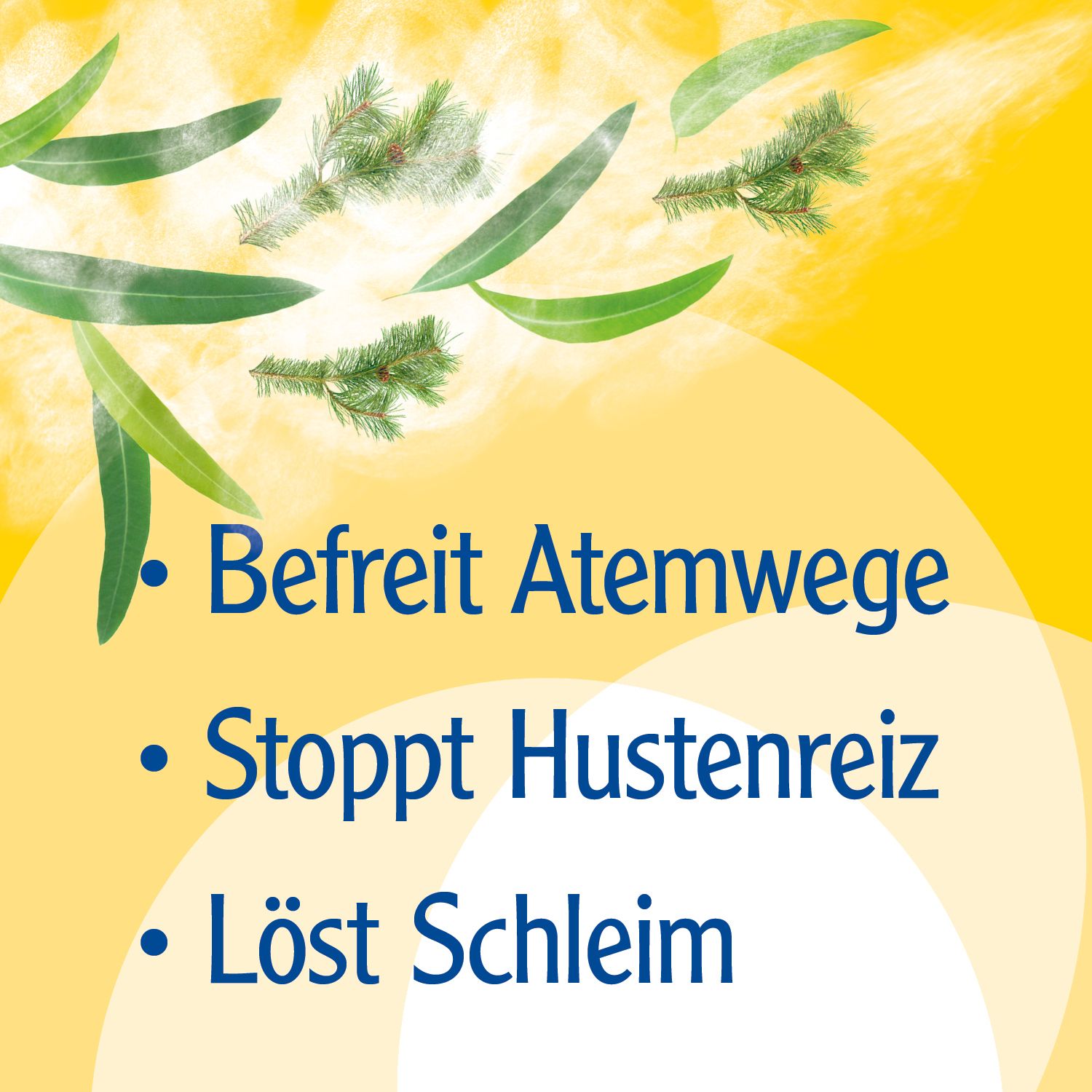 Pinimenthol® Erkältungsbalsam mild ab 2 Jahren - mit Eucalyptus- und Kiefernnadelöl