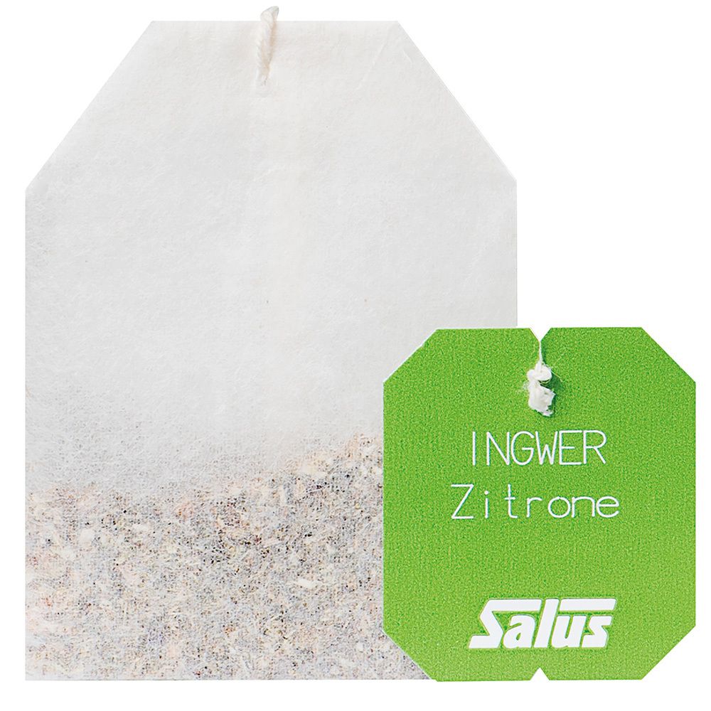 Teebeutel mit grünem Anhänger. Aufdruck: Ingwer Zitrone, Salus-Logo. Beutel mit Kräutermischung gefüllt.