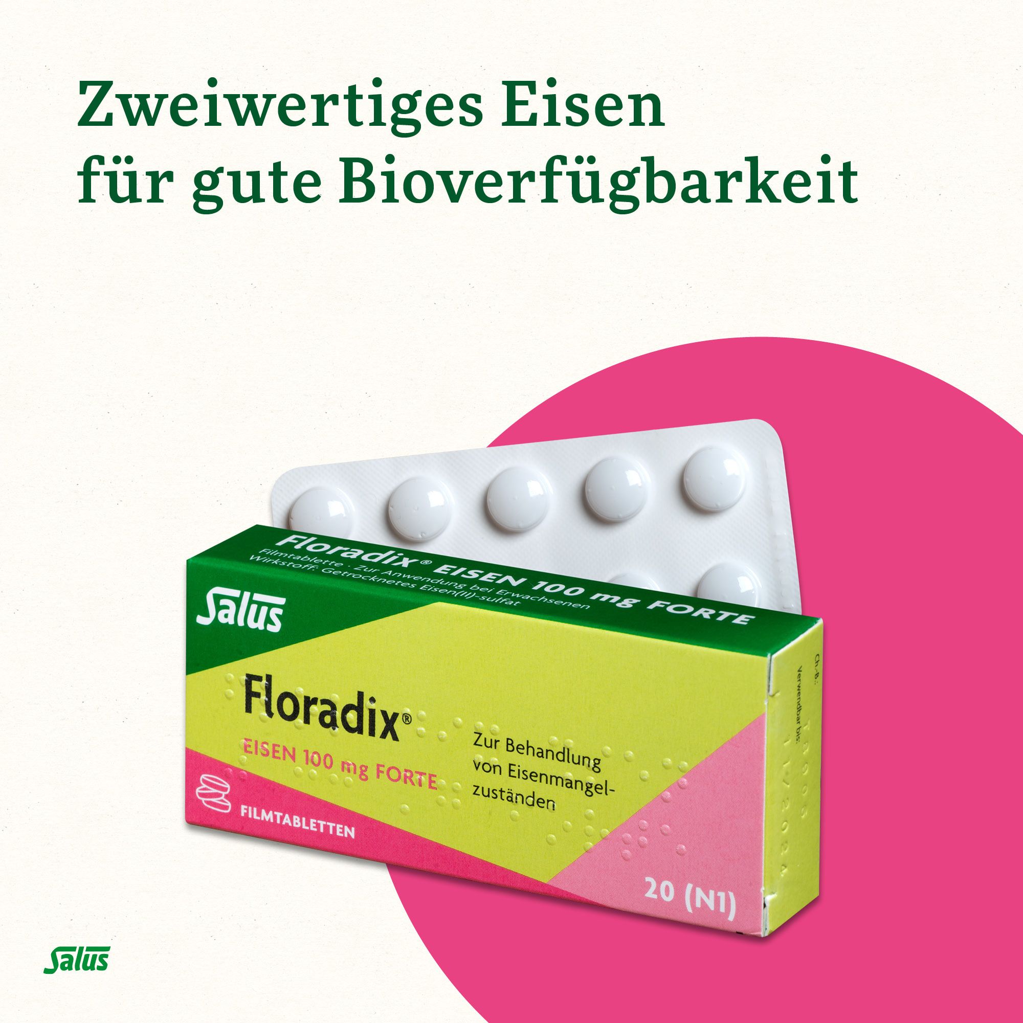 Floradix Eisen 100 mg forte Filmtabletten