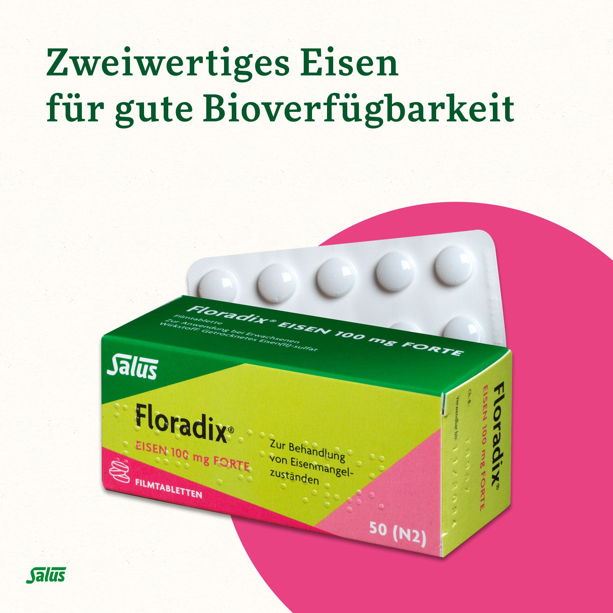 Floradix Eisen 100 mg forte Filmtabletten