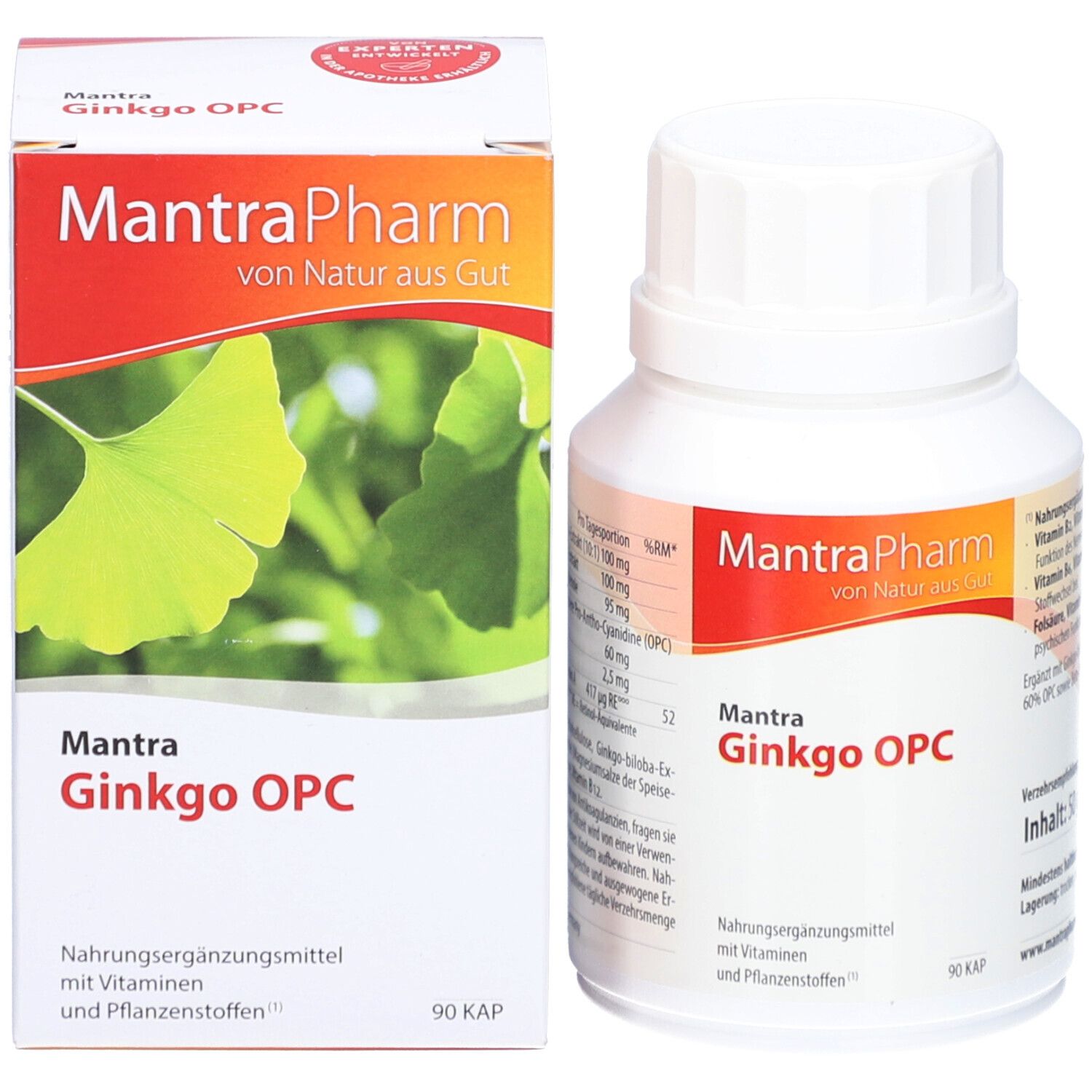MANTRA Ginkgo OPC Kapseln