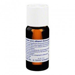 Carum Carvi ethanol. Decoctum Ø (= D1) 50 ml Dilution
