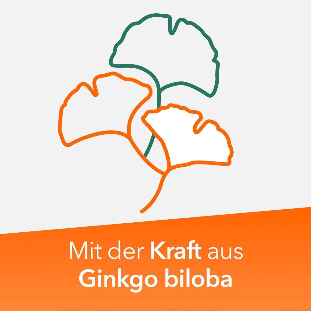 Grafik: Drei Ginkgo-Blätter in Grün und Orange. Text: Mit der Kraft aus Ginkgo biloba.