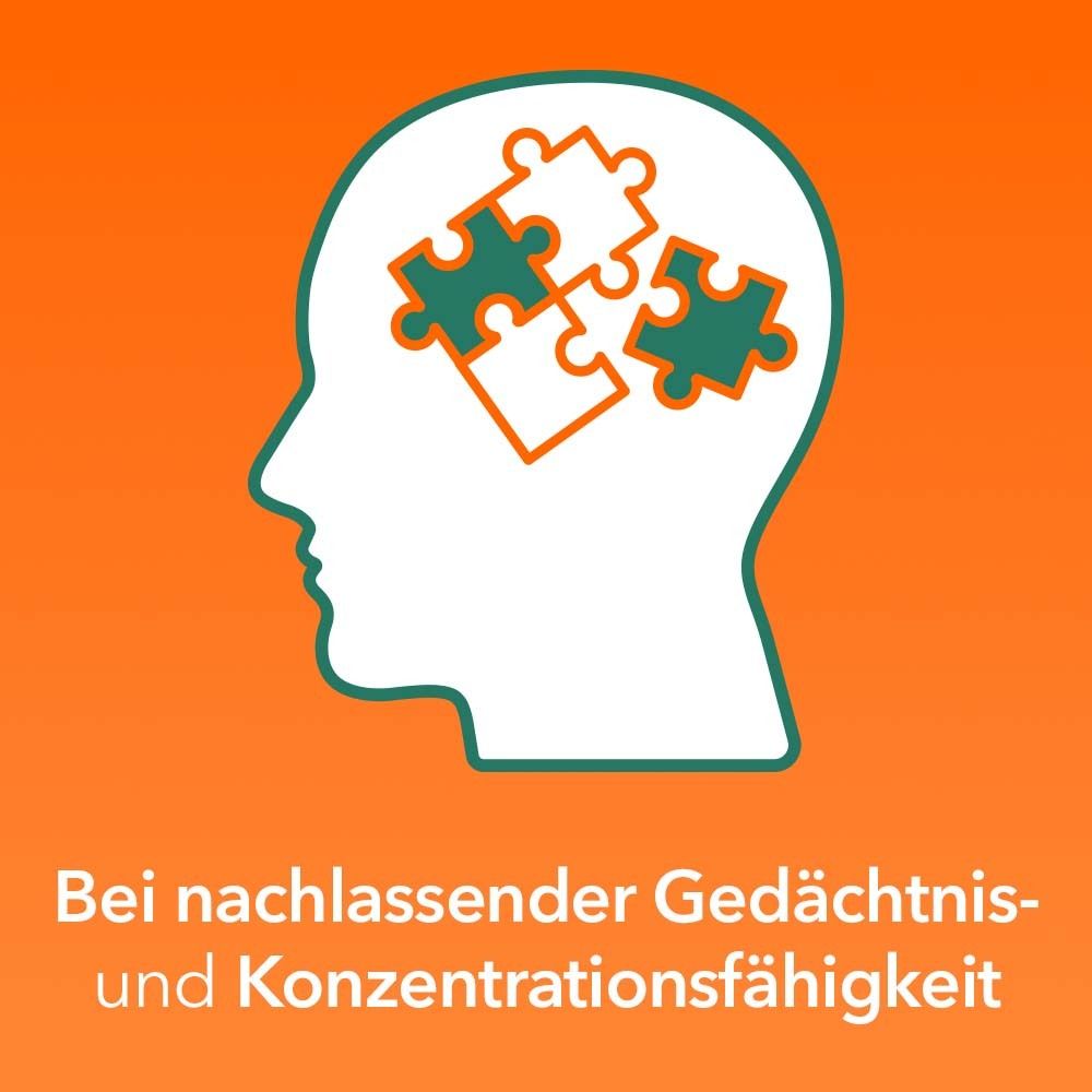 Grafik: Kopfprofil mit Puzzleteilen. Text: Bei nachlassender Gedächtnis- und Konzentrationsfähigkeit.