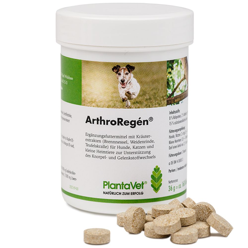 Arthro Regen (2946) 160 St Tabletten