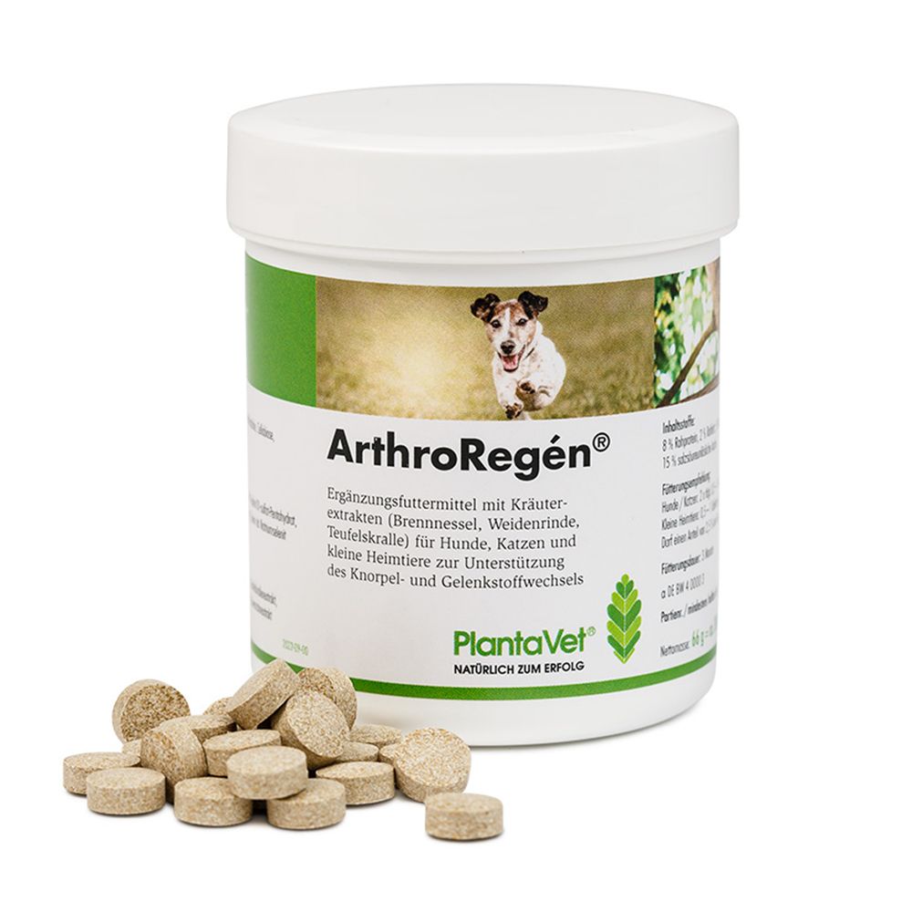 Arthro Regen 300 St Tabletten