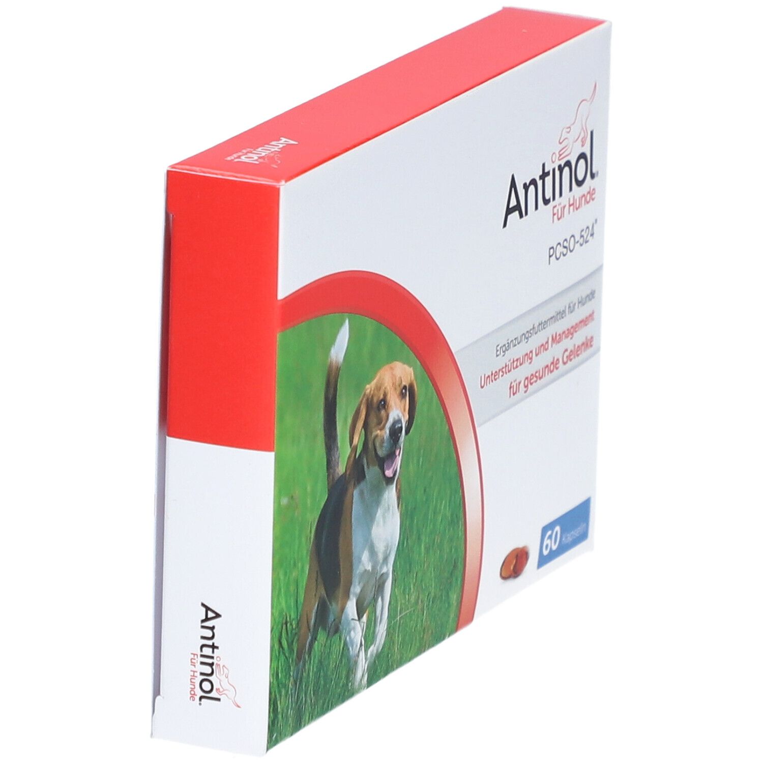 Antinol Hund, Packung mit 60 Tabletten St Kapseln