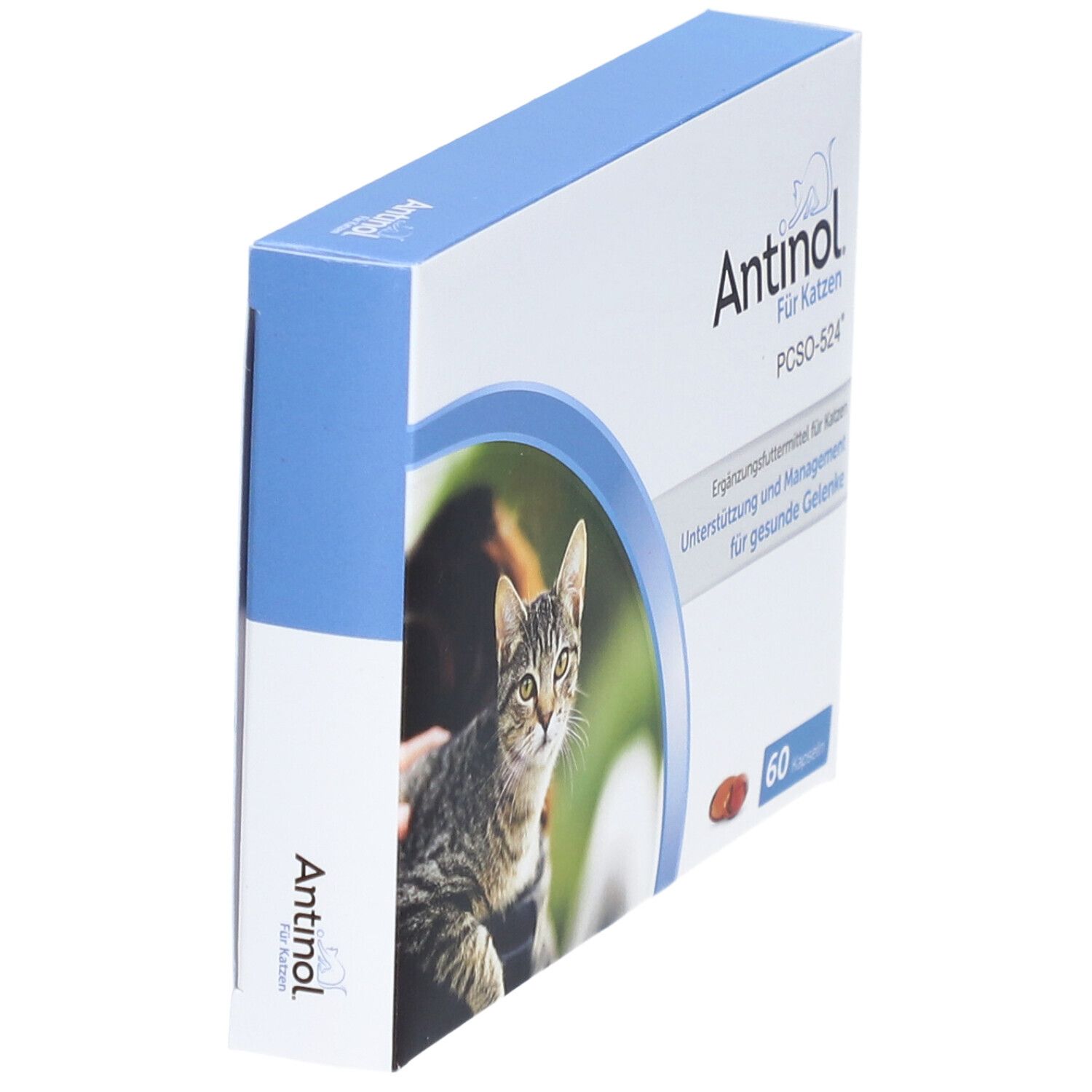 Antinol Katze, Packung mit 60 Tabletten St Kapseln