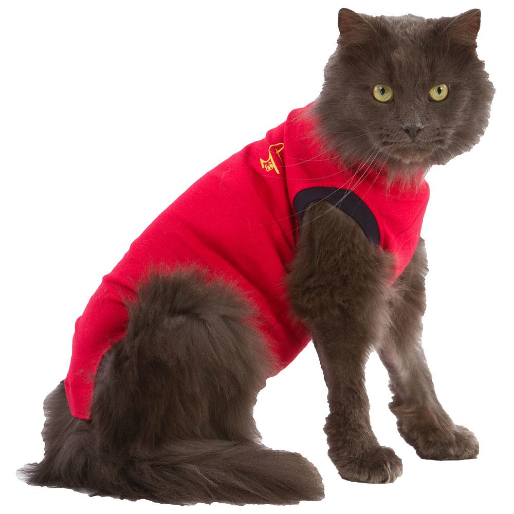 Medical Pet Shirt® Katze XXXS