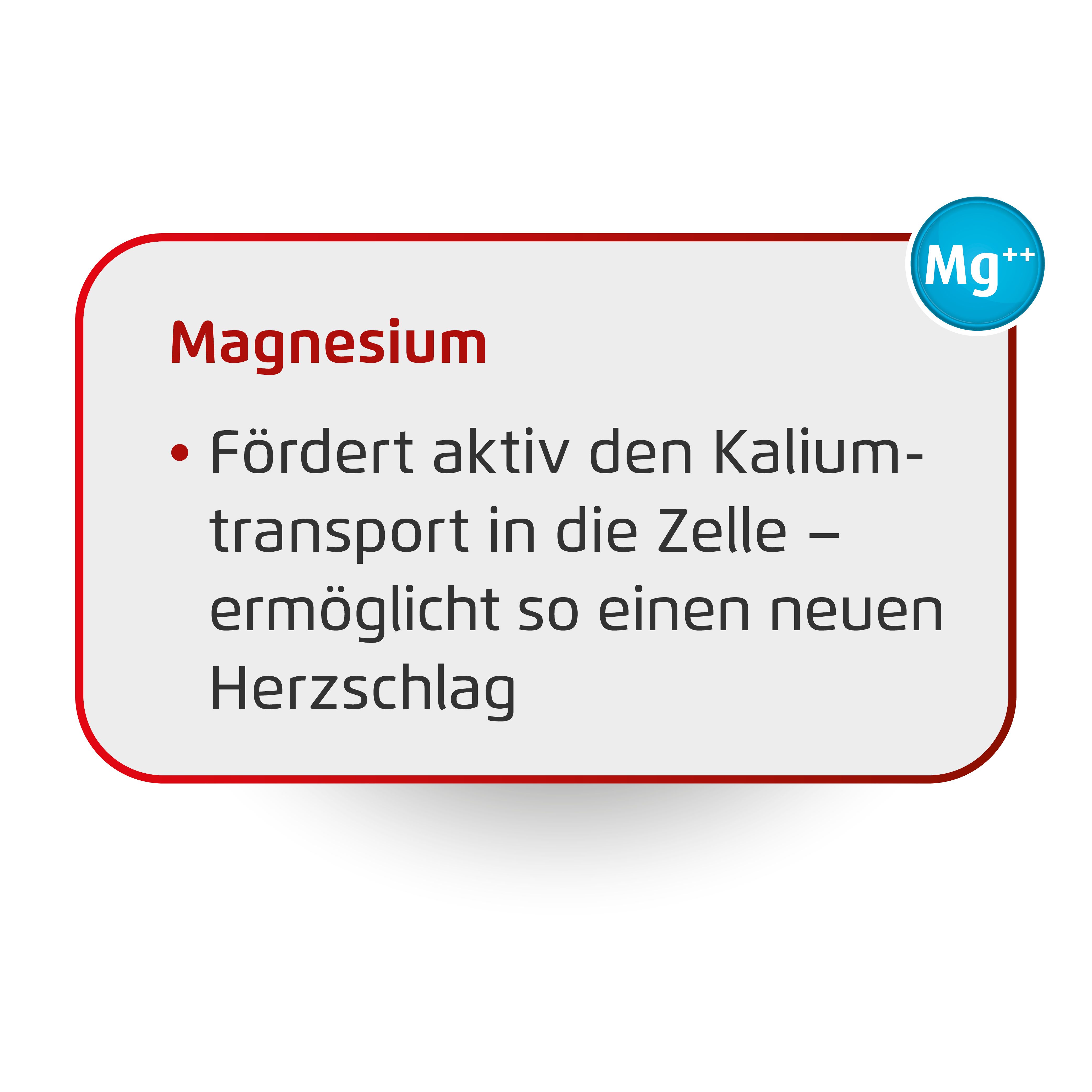 Tromcardin complex Twin-Set Herz im Takt