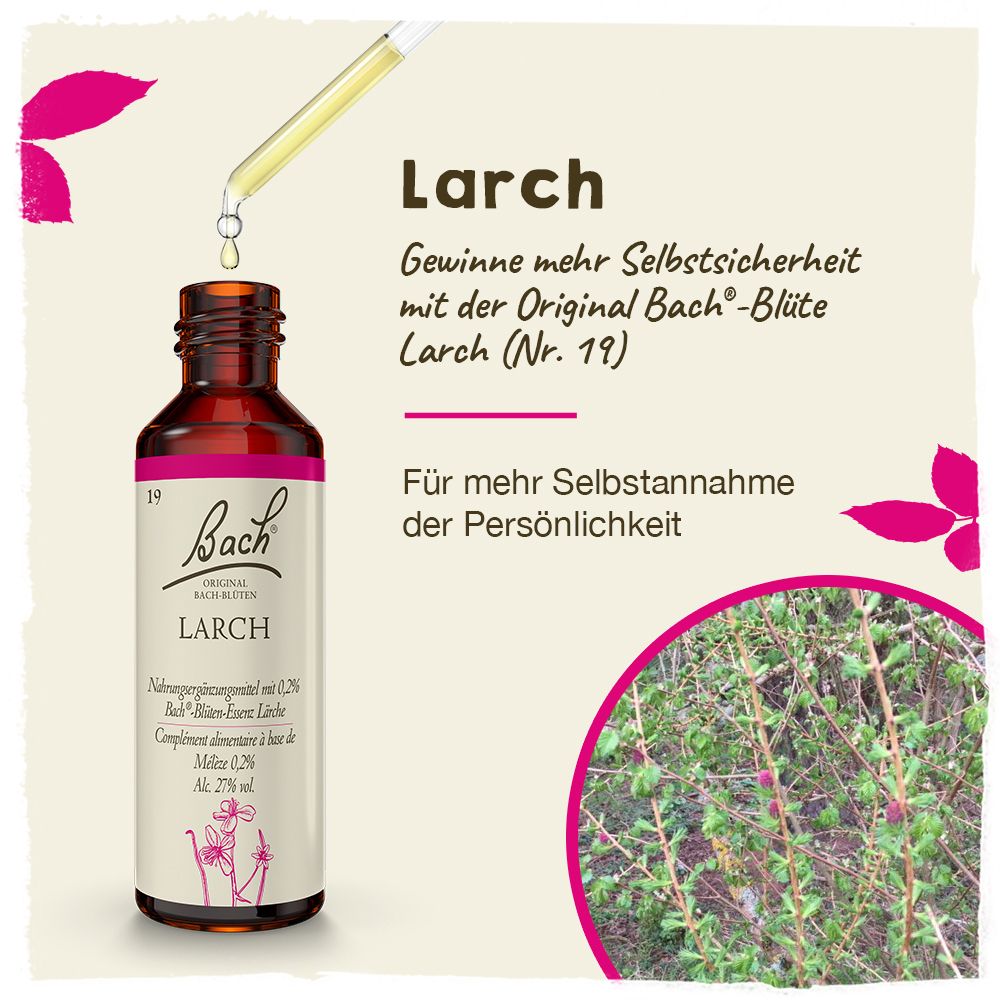 BACH®-BLÜTEN Innere Balance Set