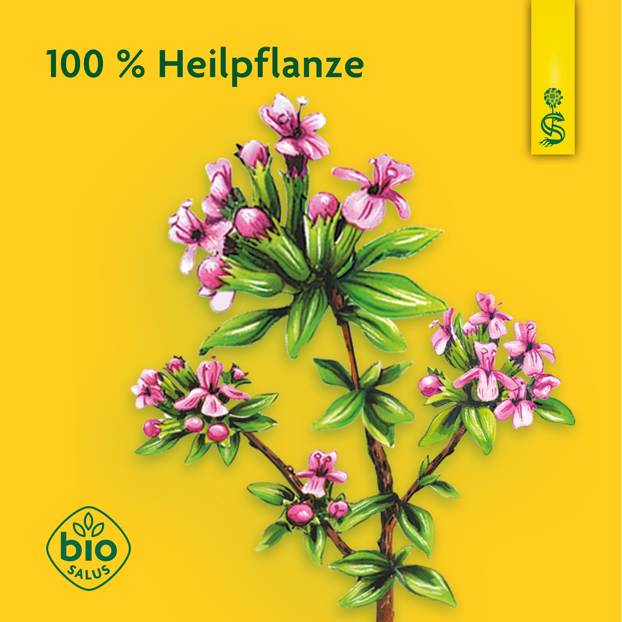 Nahaufnahme von Thymianblüten und Blättern. "100 % Heilpflanze".