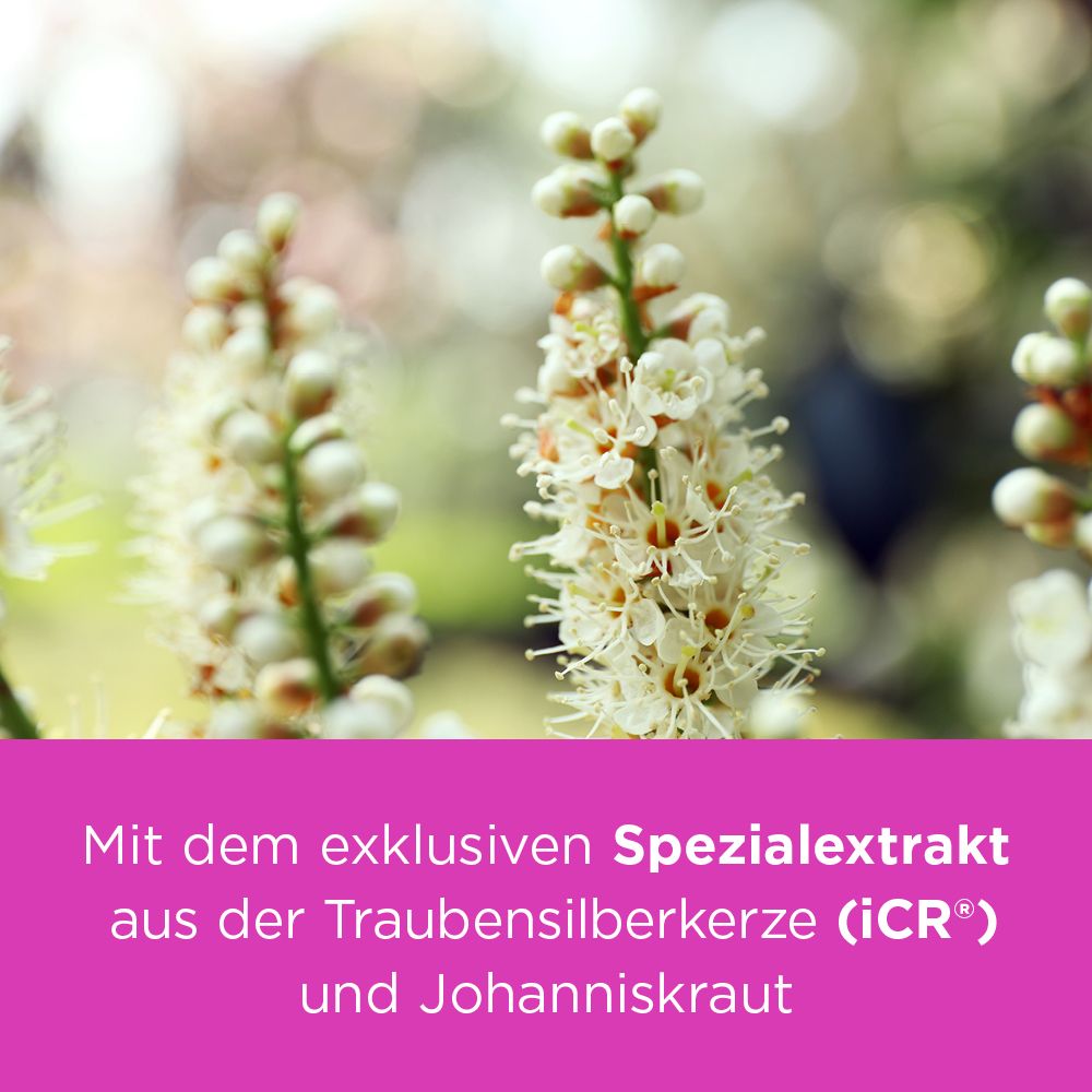 Nahaufnahme von weißen Blüten. Text: Mit dem Spezialextrakt aus Traubensilberkerze (iCR) und Johanniskraut.