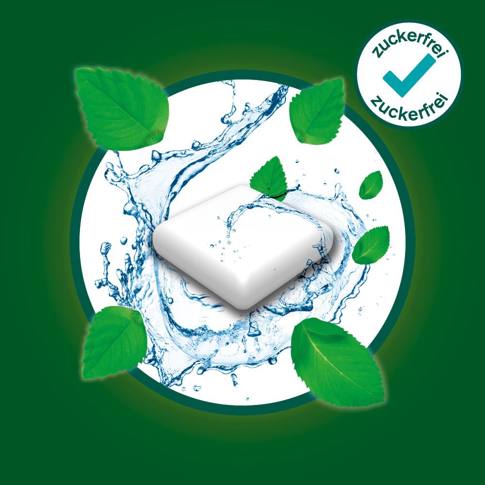 Kaugummi mit Wasser und grünen Blättern. Text: zuckerfrei.