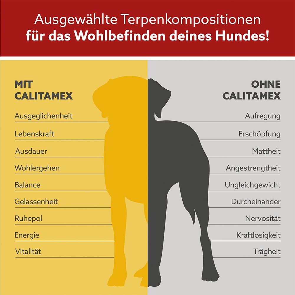 CALITAMEX CBD light für Hunde