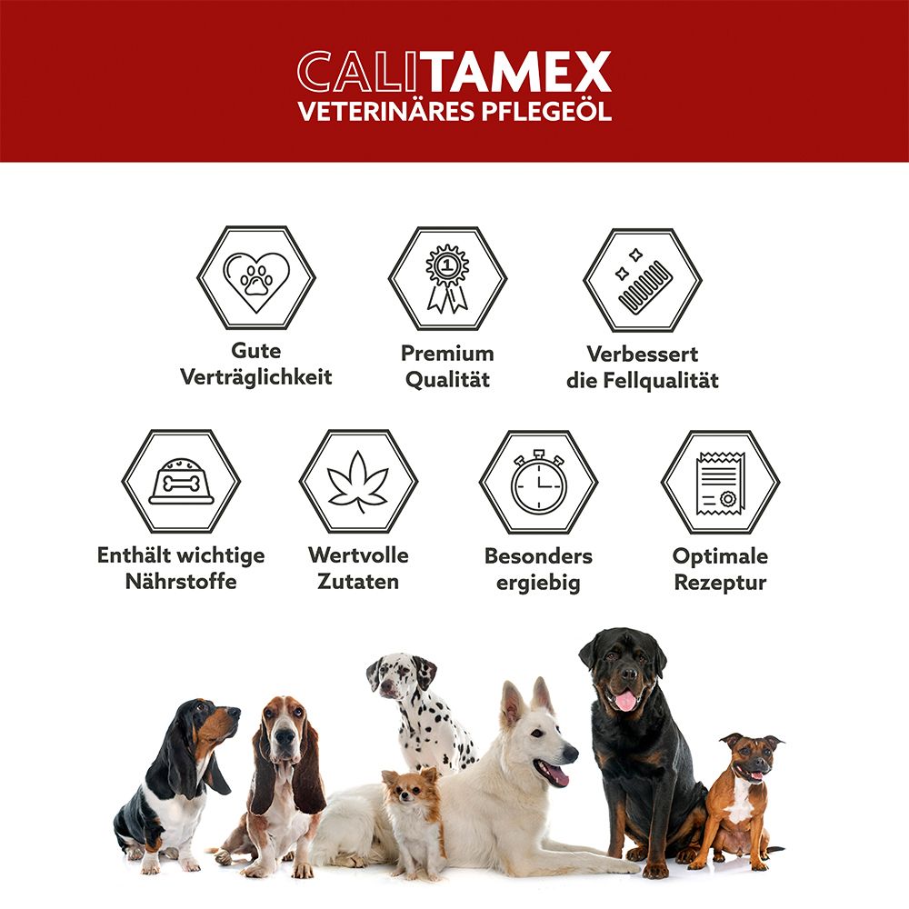 CALITAMEX CBD strong für Hunde