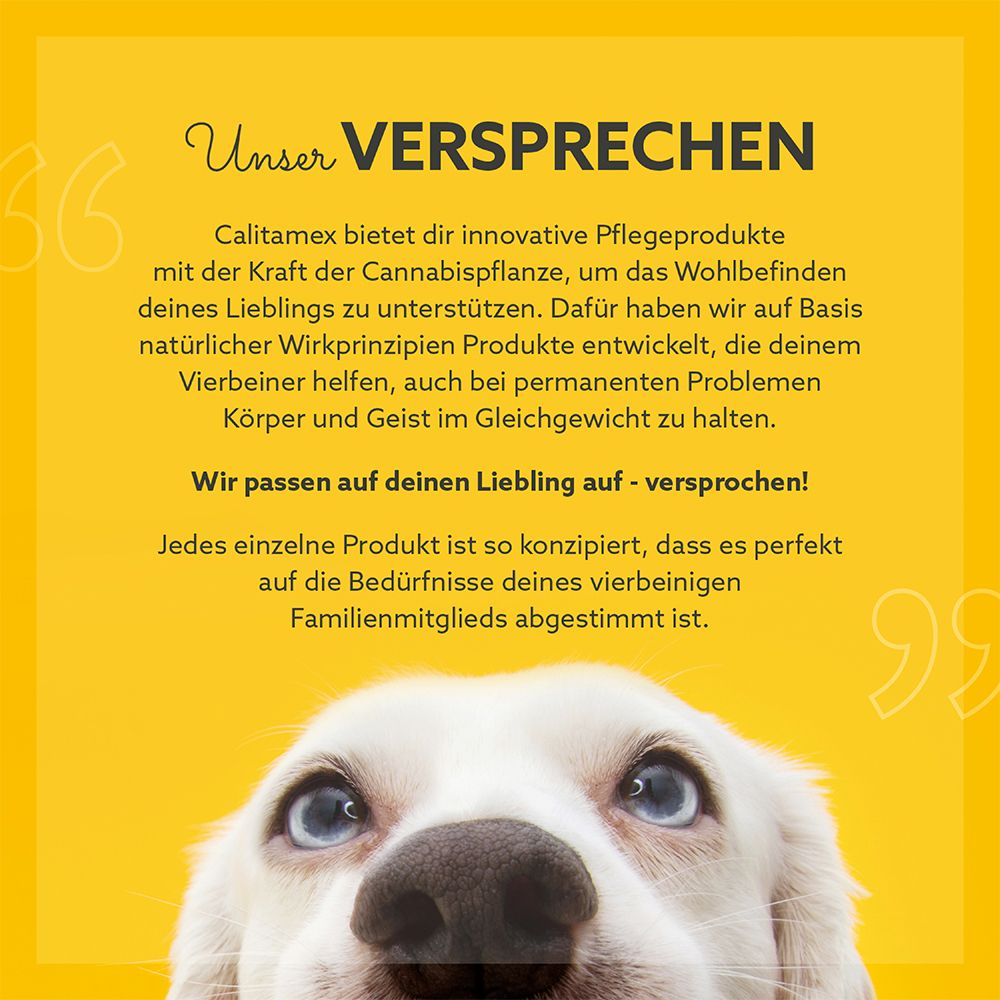 CALITAMEX CBD strong für Hunde