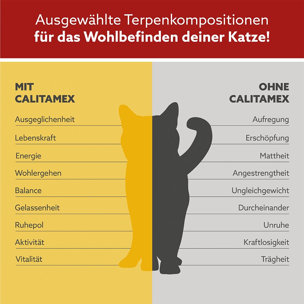 CaliTamex CBD Öl für Katzen 8% 10 ml Hautöl