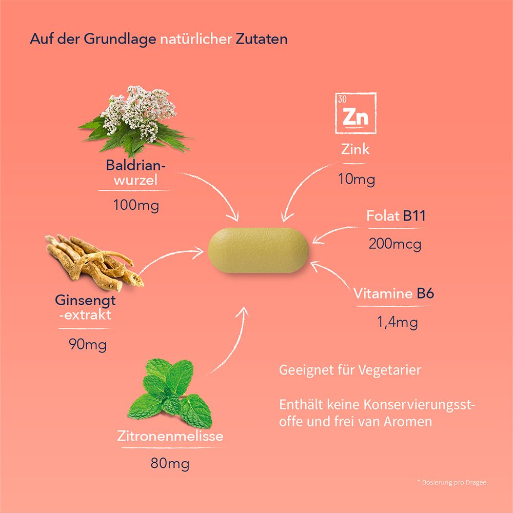 Inhaltsstoffe von VALDISPERT® Stress Moments & Extravitamine. Tablette, Baldrian, Ginseng, Zitrone, Zink, Folsäure, Vitamin B6.