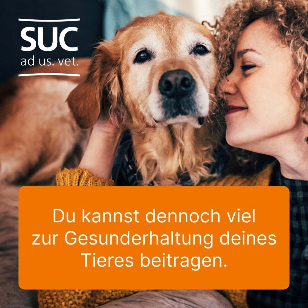 Frau umarmt Hund. Text: Du kannst dennoch viel zur Gesunderhaltung deines Tieres beitragen.