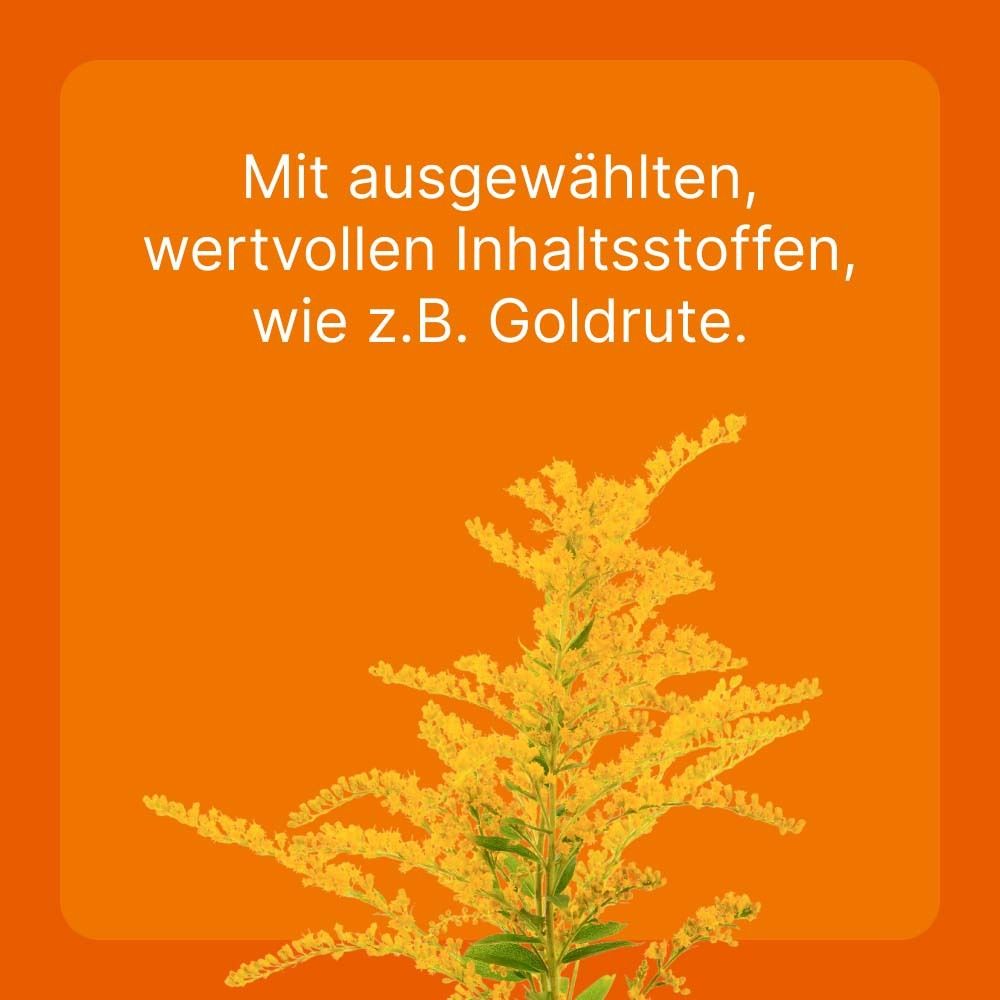 Gelber Hintergrund mit Text: Mit ausgewählten, wertvollen Inhaltsstoffen, wie z.B. Goldrute. Gelbe Pflanze.