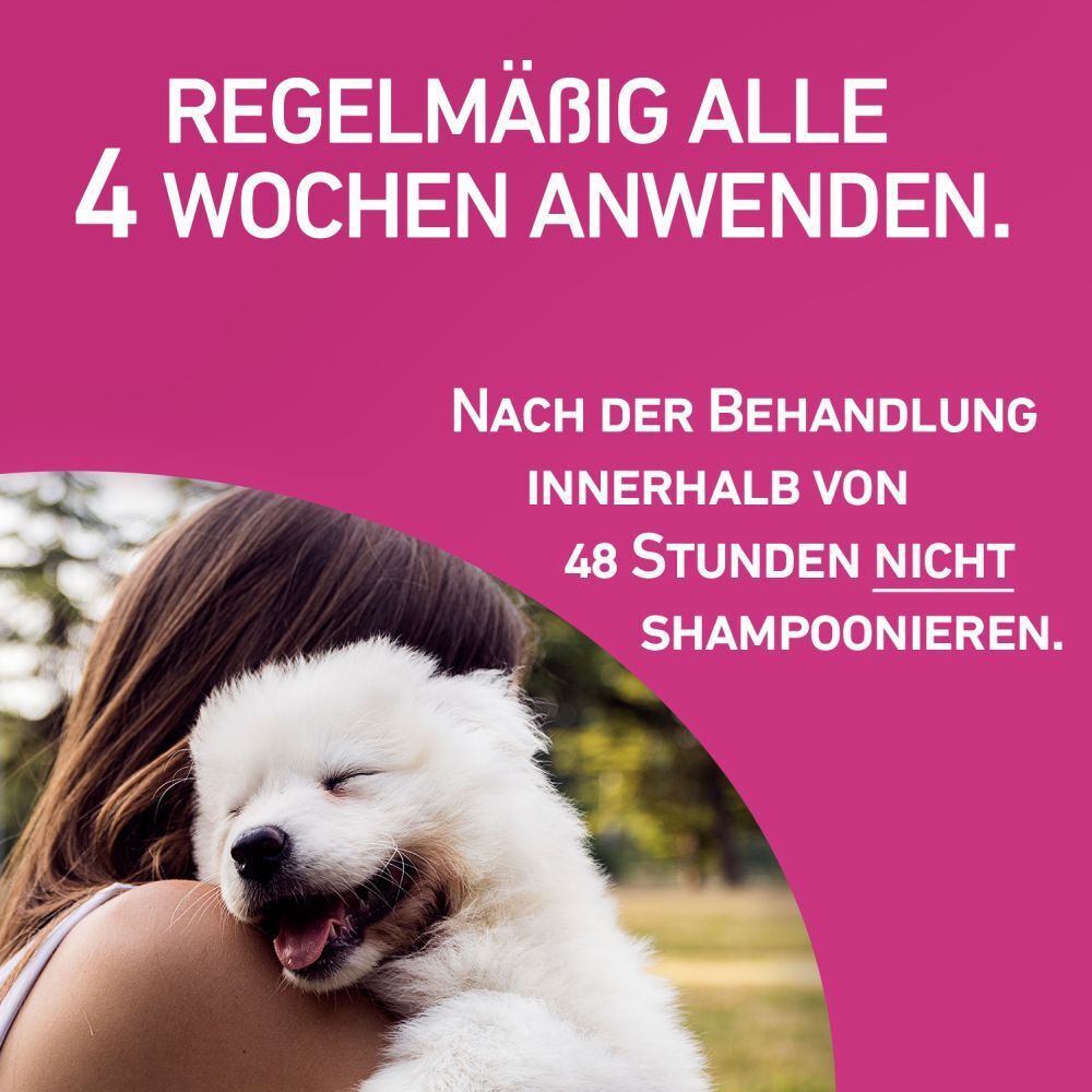 FRONTLINE TRI ACT gegen Zecken Flohe und fliegende Insekten beim Hund 20 40kg 2x6 St Shop Apotheke