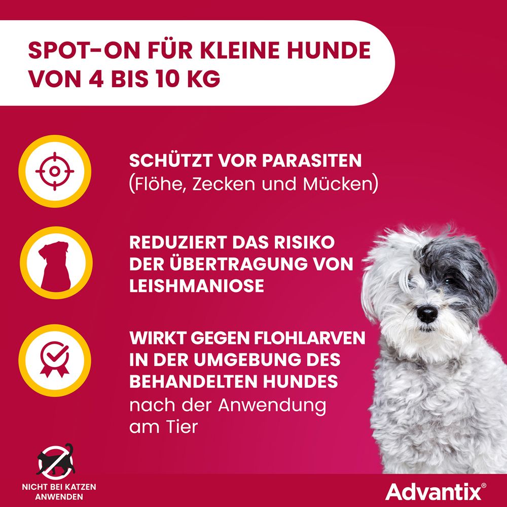 Advantix®-Werbung. Hund, rote Grafik. Text: Schützt vor Parasiten (Flöhe, Zecken und Mücken). Reduziert das Risiko von Leishmaniose.