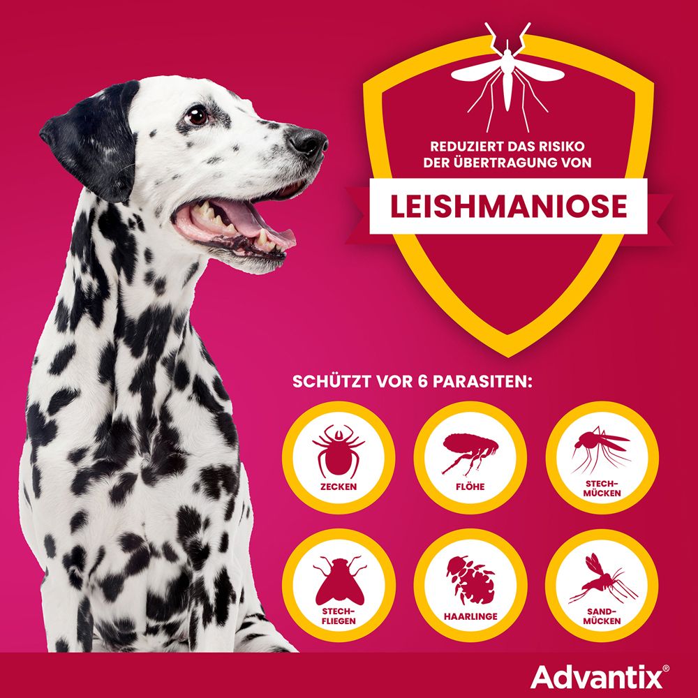 Dalmatiner-Hund neben einem Schild mit Text: Reduziert das Risiko der Übertragung von Leishmaniose. Symbole für Parasiten.