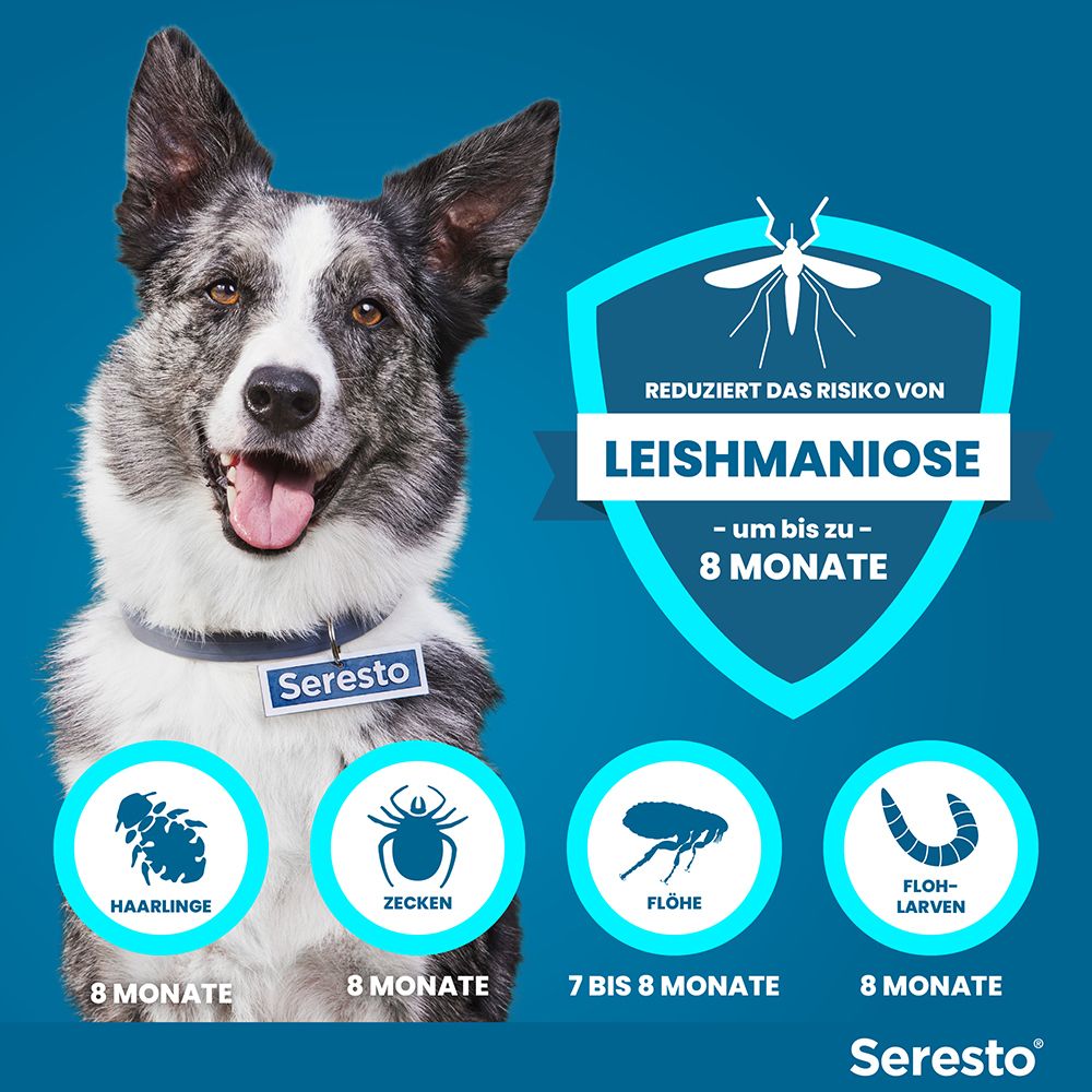 Blauer Hintergrund mit Hund und Icons. Text: Reduziert das Risiko von Leishmaniose bis zu 8 Monate. Icons: Haarlinge, Zecken, Flöhe, Flohlarven.