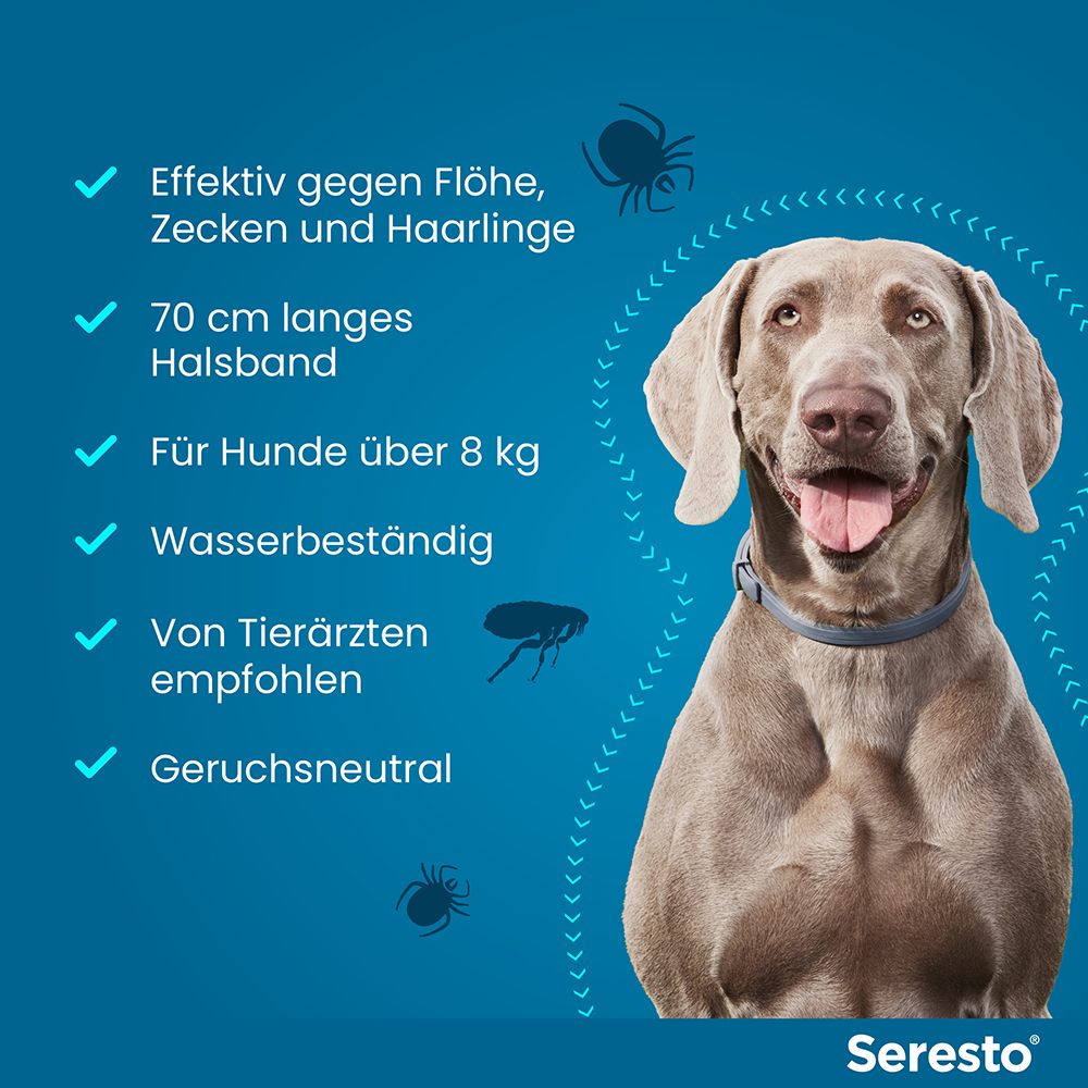Blauer Hintergrund mit Text und Hund. Text: Effektiv gegen Flöhe, Zecken und Haarlinge, 70 cm Halsband, wasserbeständig, geruchsneutral.