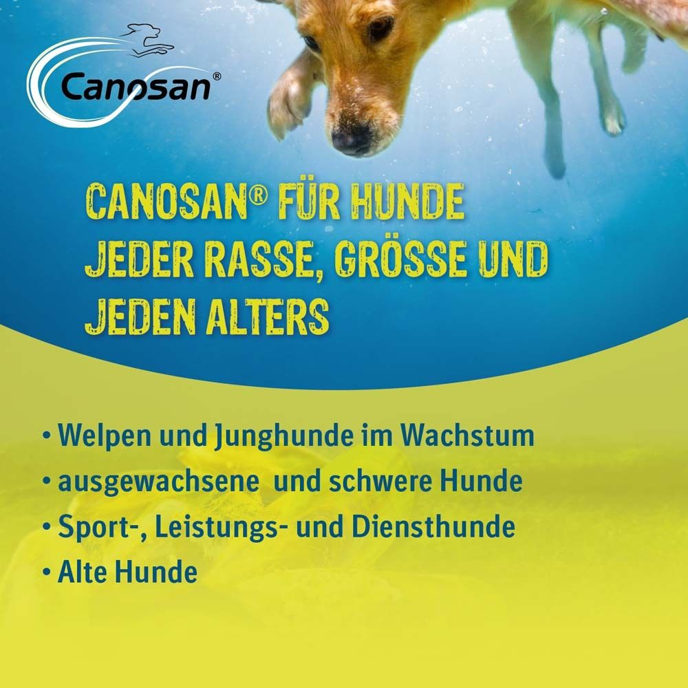 2x Canosan Kautabletten bei Gelenkproblemen Hund mit Grünlippmuschel-Extrakt Gonex 2x30 St