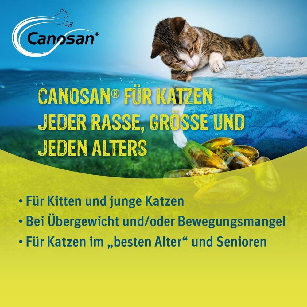 2x Canosan Kautabletten bei Gelenkproblemen Katze mit Grünlippmuschel-Extrakt Gonex 2x30 St