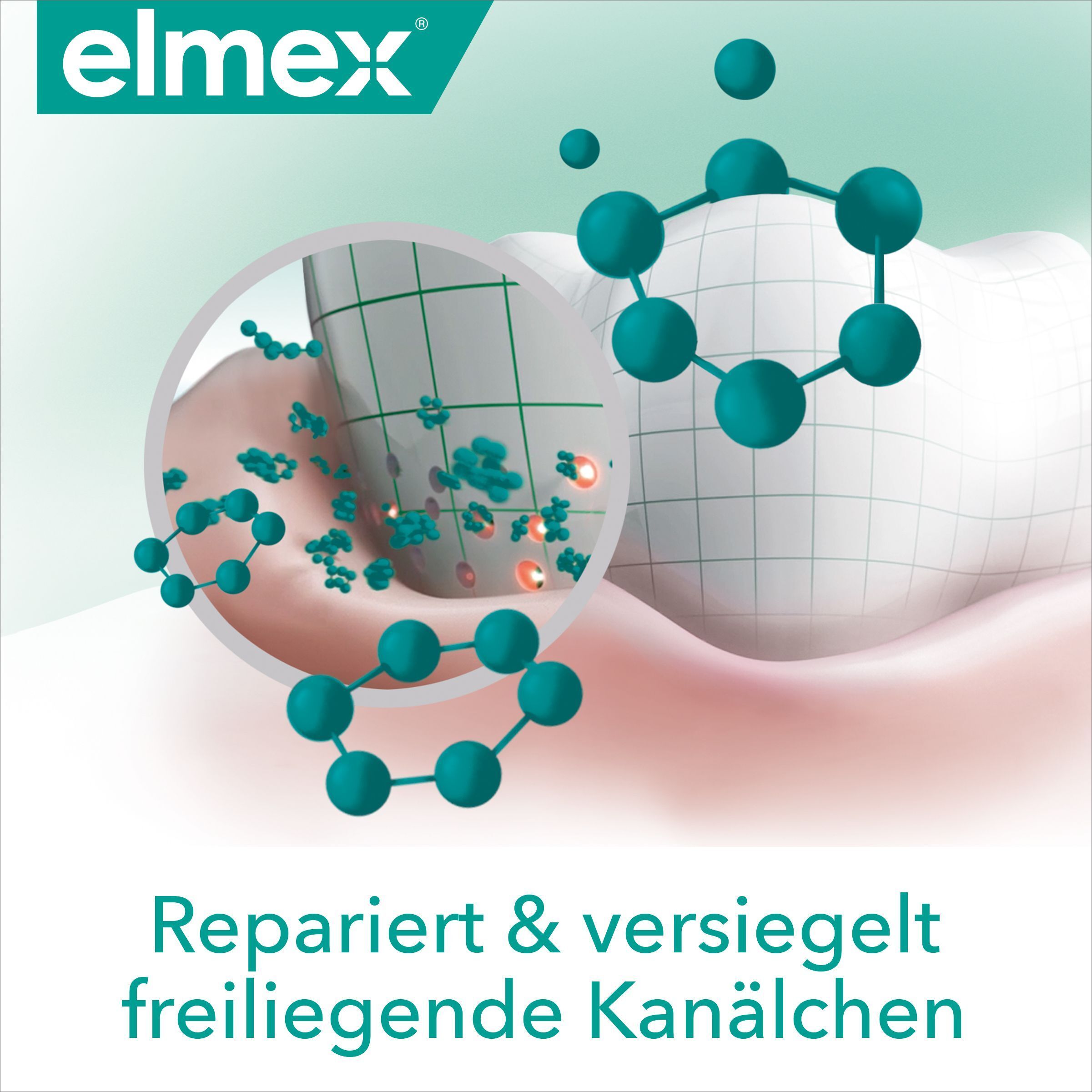 elmex Sensitive Repair & Prevent Zahnpasta