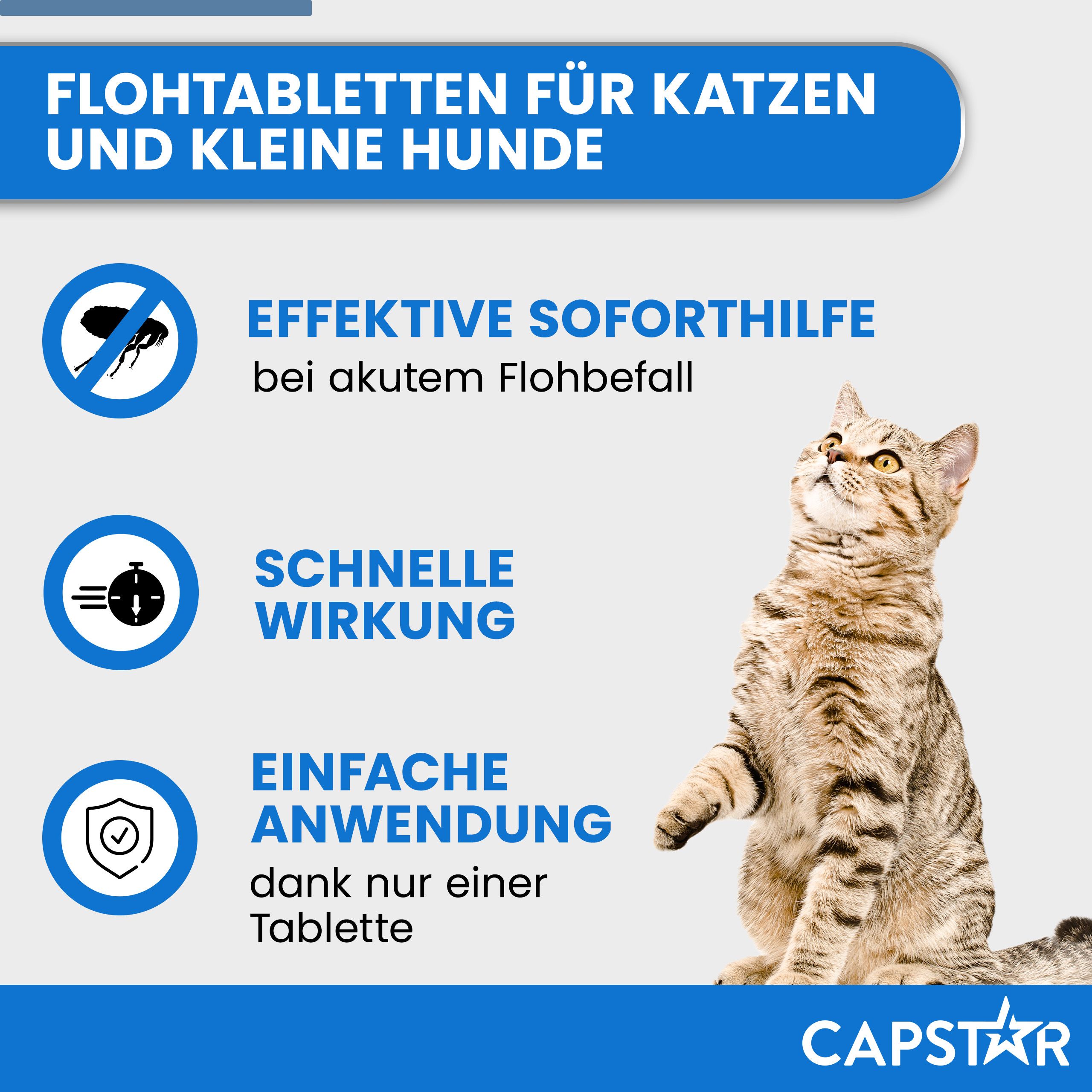 Werbebild mit Katze. Text: Soforthilfe bei Flohbefall, schnelle Wirkung, einfache Anwendung. Produktname Capstar.