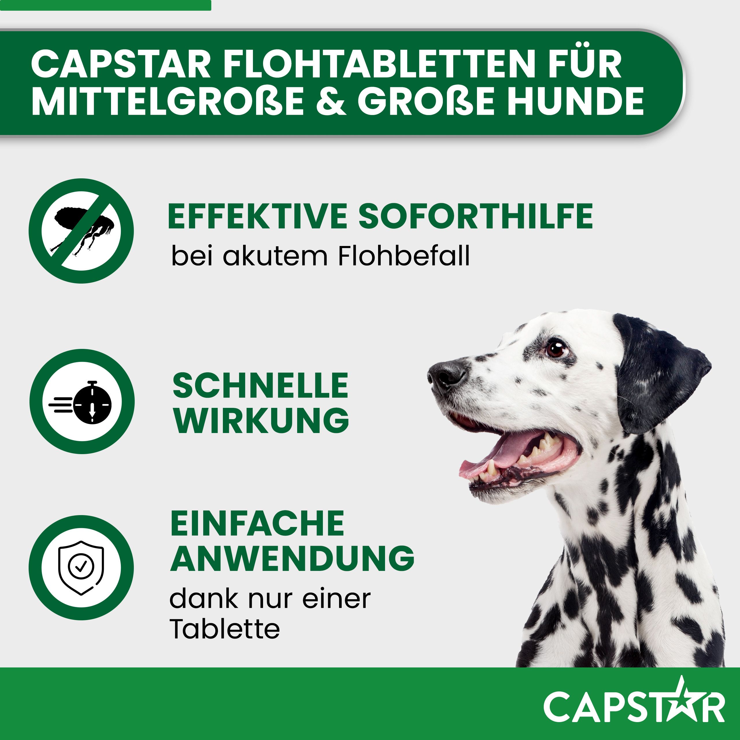 Infografik: CAPSTAR Flohtabletten für mittelgroße & große Hunde. Text: Soforthilfe, schnelle Wirkung, einfache Anwendung.