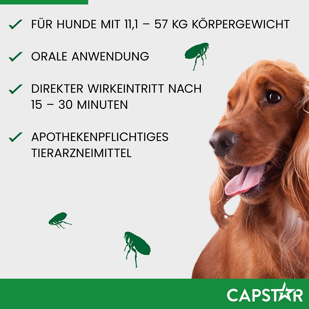 Infografik: Für Hunde mit 11,1 - 57 kg Körpergewicht. Orale Anwendung. Direkter Wirkungseintritt nach 15-30 Minuten. CAPSTAR Logo.