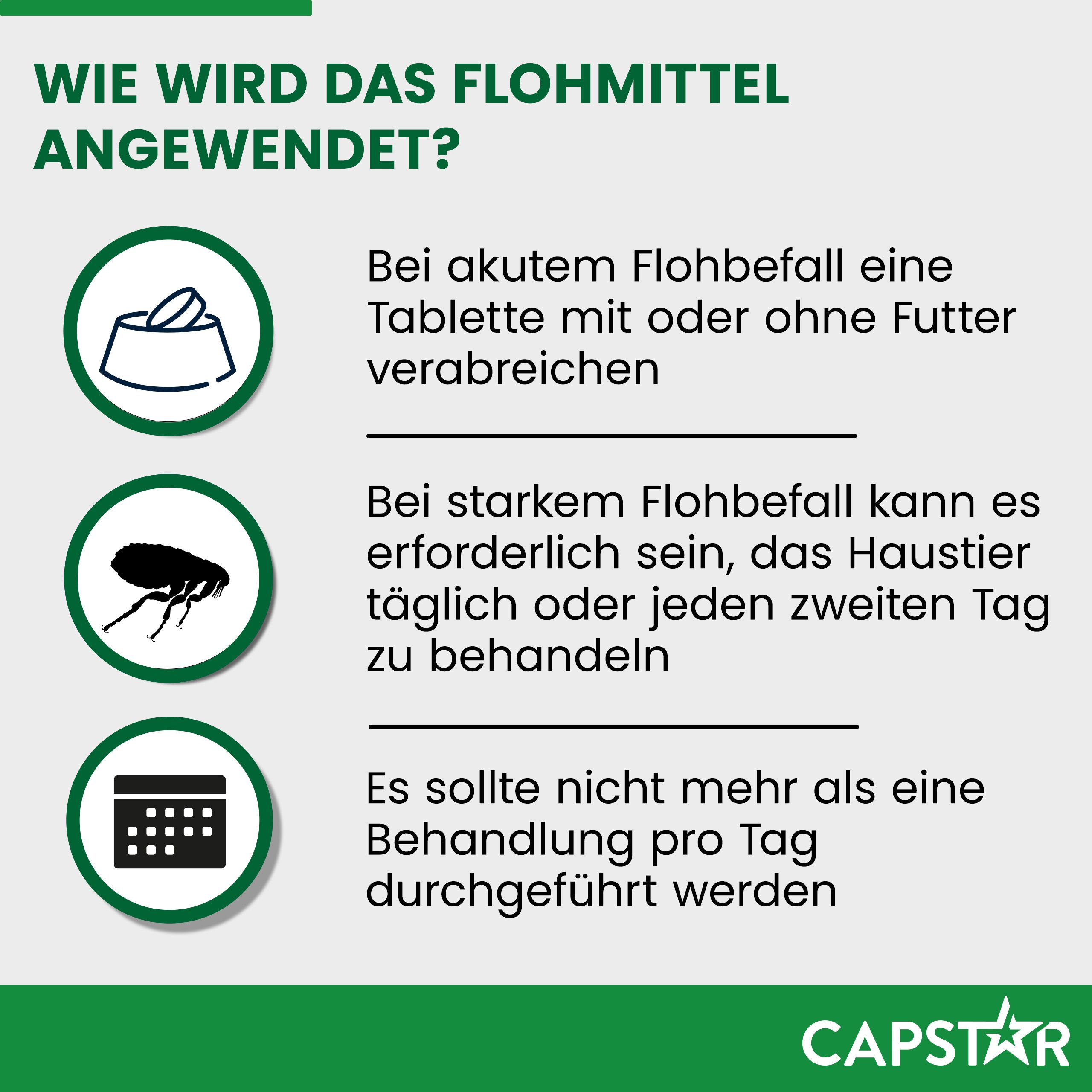 Infografik: Anwendung des Flohmittels. Text: Tablette mit/ohne Futter. Täglich/alle 2 Tage. Nicht mehr als 1 Behandlung pro Tag.