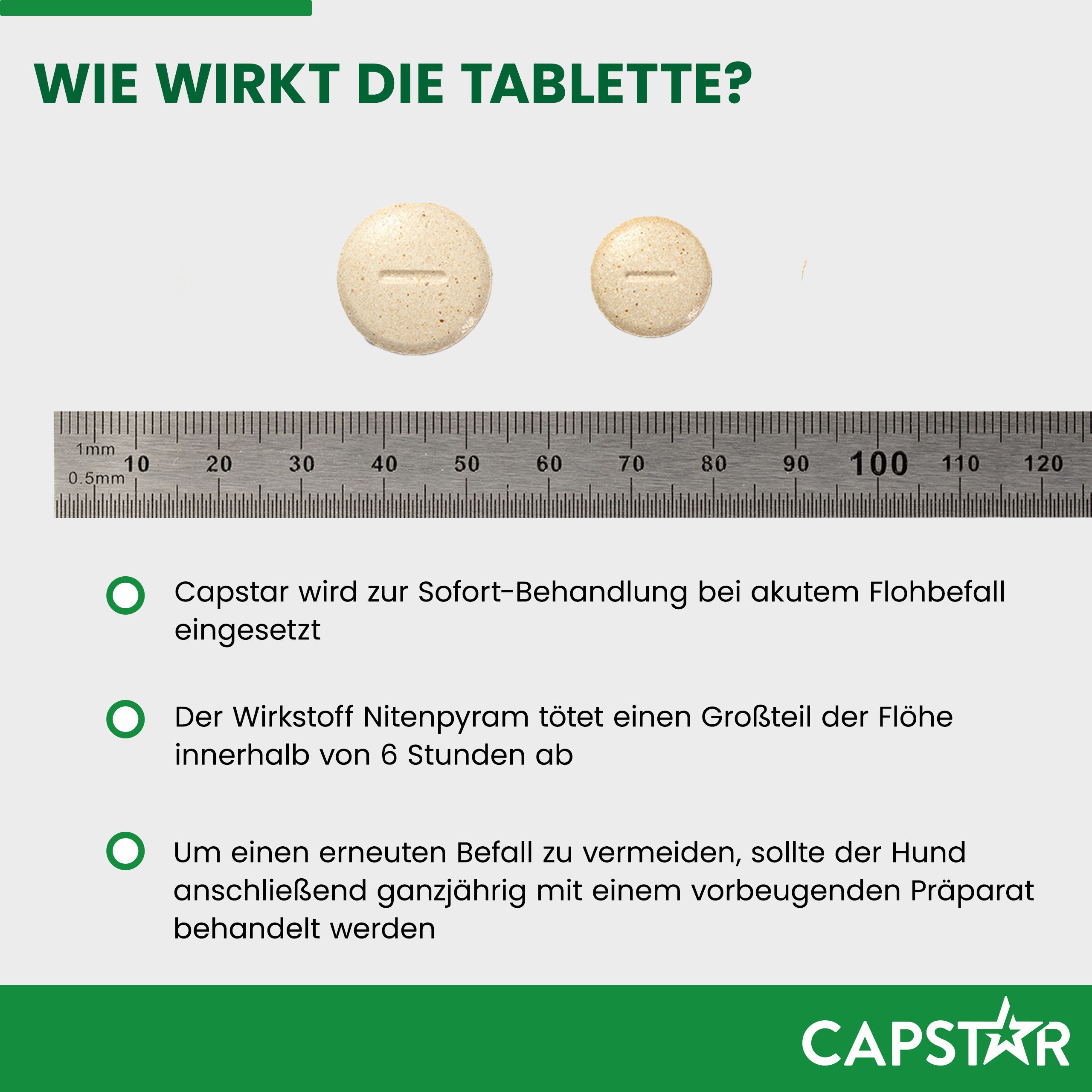Infografik: Wie wirkt die Tablette? Text: Sofort-Behandlung. Wirkstoff Nitenpyram tötet Flöhe. Vermeidung erneuten Befalls.