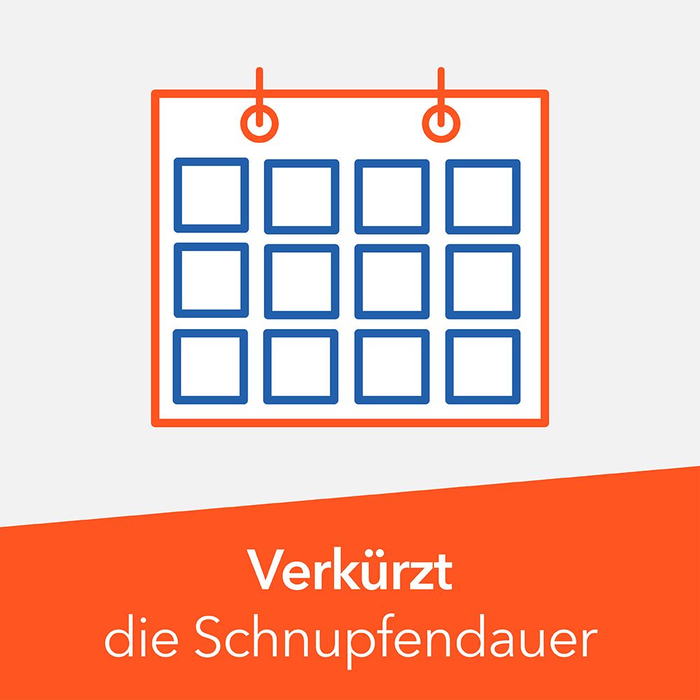 Grafik eines Kalenders mit 12 Feldern. Text: Verkürzt die Schnupfdauer.