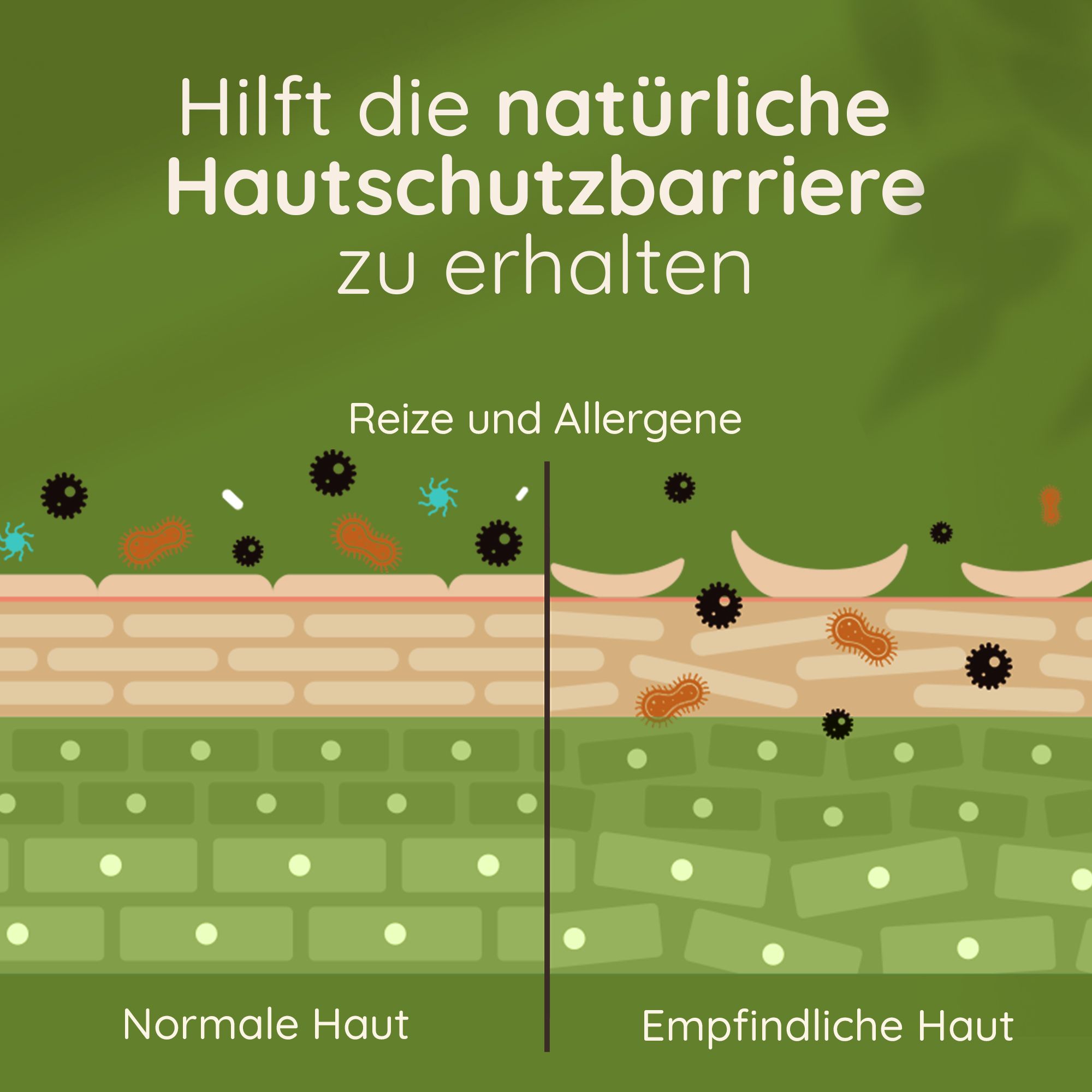 Hautmodell. Text: Hilft die natürliche Hautschutzbarriere zu erhalten. Normale Haut, empfindliche Haut.
